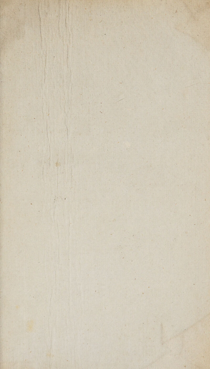 V •. t V ?! .» ■ *<•;.