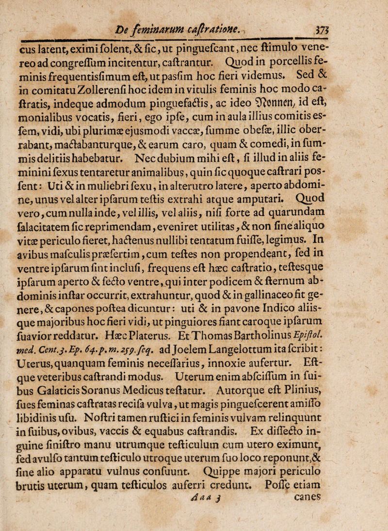 Di feminarum cafratiine, J7I cusJacent,eximifolent,&fic,ut pinguefcant,nec ftimulo vene- reo ad congrefTum incitentur, caftrantur. Quod in porcellis fe¬ minis frequentisfimum eft, ut pasfira hoc fieri videmus. Sed & in comitatu Zollerenfi hoc idem in vitulis feminis hoc modo ca- ftratis, indeque admodum pinguefaftis, ac ideo 5^onneny id eft, monialibus vocatis, fieri, ego ipfe, cuminaulailliuscomitises- fem, vidi, ubi plurimae ejusmodi vaccae, fum me obefae, illic ober¬ rabant, maftabanturque,& earum caro, quam & comedi, in fum- mis deliriis habebatur. Nec dubium mihi eft, fi illud in aliis fe¬ minini fexus tentaretur animalibus, quin fic quoque caftrari pos - fent: Uti & in muliebri fexu, in alterutro latere, aperto abdomi¬ ne, unus vel alter ipfarumteftis extrahi atque amputari. Quod vero, cum nulla inde, vel illis, vel aliis, nifi forte ad quarundam falacitatem fic reprimendam, eveniret utilitas, & non fine aliquo vitse periculo fieret, haftenus nullibi tentatum fuille, legimus. In a vibusmafculis prae ferti m, cum teftes non propendeant, fed in ventreipfarumfintinclufi, frequens eft haec caftratio,ceftesque ipfarum aperto & fe(51o ventre,.qui inter podicem & fternum ab¬ dominis inftar occurrit, extrahuntur, quod & in gallinaceo fit ge¬ nere, & capones poftea dicuntur: uti & in pavone Indico aliis¬ que majoribus hoc fieri vidi, ut pinguiores fiant caroque ipfarum fuaviorreddatur. HaecPlaterus. Et Thomas Bartholinus Cem.j. Ep, 64,p. m, zjpfeq, ad Joelem Langelottum ita fcribit: UEerus,quanquam feminis neceflarius, innoxie aufertur. Eft- que veteribus caftrandi modus. Uterum enim abfcifium in fui- bus Galaticis Soranus Medicus teftatur. Autorque eft Plinius, fues feminas caftratas recifa vulva, ut magis pinguefcerent amiflb libidinis ufu. Noftri tamen ruftici in feminis vulvam relinquunt in fuibus, ovibus, vaccis & equabus caftrandis. Ex dilTeflo in¬ guine finiftro manu utrumque tefticulum cum utero eximunt, fed avulfo tantum tefticulo utroque uterum fuo loco reponunt,& fine alio apparatu vulnus confuunt. Quippe majori periculo brutis uterum, quam tefticulos auferri credunt. Pofle etiam Aaa j canes
