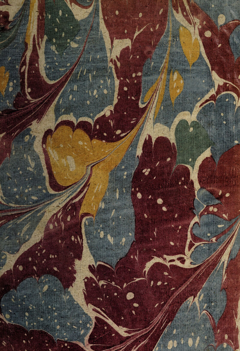 No text description is available for this image