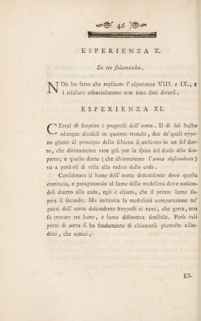 Su tre falamandre. On ho fatto che replicare V efperienze Vili, e IX., e i rifultati elfenzialmente non fono itati diverfi « ESPERIENZA XI. Ercai di fcoprire i progredì dell* aorta . Il di lei bulbo adunque dividefi in quattro tronchi , due de' quali appe¬ na giunti al principio della fchiena fi unifcono in un ibi dot¬ to, che dirittamente vien giù per la fpina del dorfo allo fco- perto; e quedo dutto (che chiameremo V aorta defcendente) va a perderli di villa alla radice della coda. Confiderato il lume dell' aorta defcendente dove quella comincia, e paragonatolo al lume della medefinia dove naicon- defi dentro alla coda, egli è chiaro, che il primo lume fu- pera il fecondo. Ma inilituita la medefima comparazione ne’ pezzi dell' aorta defcendente frapporti ai rami, che getta, non lo trovare tra lume, e lume differenza fenrtbile. Però tali pezzi di aorta fi ha fondamento di chiamarli piuttoflo cilin¬ drici , che conici.