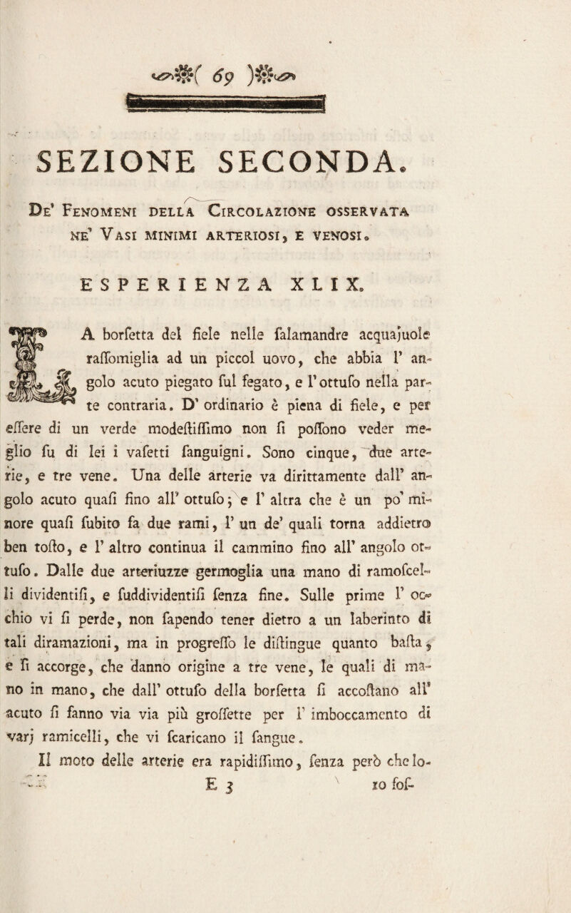 SEZIONE SECONDA De’ Fenomeni della Circolazione osservata ne’ Vasi minimi arteriosi , e venosu ESPERIENZA X L I X. A borfetta dei fiele nelle falamandre acquaiole Jir railomiglia ad un piccol uovo, che abbia P ari- ej||L IjL golo acuto piegato fui fegato, e P ottufo nella par- ^ te contraria. D’ ordinario è piena di fiele, e per edere di un verde modelli filmo non fi pedono veder me¬ glio fu di lei ì vafetti fanguigni. Sono cinque, due arte¬ rie, e tre vene. Una delle arterie va dirittamente dall’ an¬ golo acuto quafi fino alP ottufo; e P altra che è un po’mi¬ nore quafi fubito fa due rami, P un de’ quali torna addietro ben toflo, e P altro continua il cammino fino alP angolo od* tufo. Dalle due arteriuzze germoglia una mano di ramofce!« li dividenti!!, e fuddividentifi fenza fine. Sulle prime P co* chio vi fi perde, non fapendo tener dietro a un laberinto di tali diramazioni, ma in progrefiò le diftingue quanto baila5 e fi accorge, che dannò origine a tre vene, le quali di ma¬ no in mano, che dall’ ottufo della borfetta fi accollano all” acuto fi fanno via via piu groffette per P imboccamento dì varj ramicelli, che vi fcaricano il fangue. Il moto delle arterie era rapidiifimo, fenza però che lo-