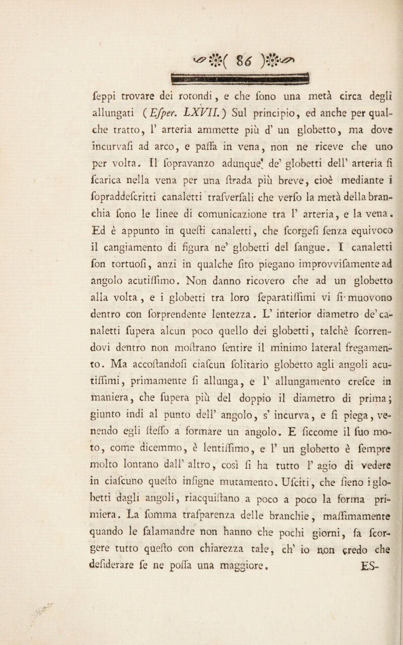 i •$( 8 6 )#• feppi trovare dei rotondi, e che fono una metà circa degli >■ allungati (E/per. LXVII.) Sul principio, ed anche per qual¬ che tratto, 1’ arteria ammette piu d’ un globetto, ma dove incurvafi ad arco, e palla in vena, non ne riceve che uno per volta. Il lopravanzo adunque’ de1 globetti dell’ arteria fi fcarica nella vena per una firada piu breve, cioè mediante i fopraddefcritti canaletti trafverfali che verfo la metà della bran¬ chia fono le linee di comunicazione tra F arteria, e la vena. Ed è appunto in quelli canaletti, che fcorgefi fenza equivoco il cangiamento di figura ne’ globetti del fangue. I canaletti fon tortuofi, anzi in qualche fito piegano improvvifamente ad angolo acutifTìmo. Non danno ricovero che ad un globetto alia volta, e i globetti tra loro feparatiflimi vi frmuovono dentro con forprendente lentezza. L’ interior diametro de’ ca¬ naletti fupera alcun poco quello dei globetti, talché borren¬ dovi dentro non modrano fentire il minimo faterai fregamen- to. Ma accodandoli ciafcun folitario globetto agli angoli acu- tidìmi, primamente fi allunga, e F allungamento crefce in maniera, che fupera piu del doppio il diametro di prima; giunto indi al punto dell’ angolo, s’ incurva, e fi piega, ve¬ nendo egli fleffo a formare un angolo . E ficcome il fuo mo¬ to, come dicemmo, è lentifììmo, e F un globetto è fempre molto lontano dall’ altro, così fi ha tutto F agio di vedere in ciafcuno quello infìgne mutamento. Ufciti, che fieno i glo¬ betti dagli angoli, riacquidano a poco a poco la forma pri¬ miera. La fomma trafparenza delle branchie, maffimamente quando le falamandre non hanno che pochi giorni, fa fcor- gere tutto quedo con chiarezza tale, eh’ io n,on credo che dedderare fe ne poda una maggiore. ES-