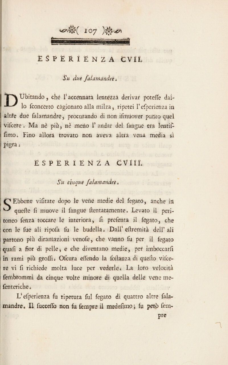 -~~———~ ESPERIENZA CVII. Su due falamandre * Ubitando, che I5 accennata lentézza derivar potette dal¬ lo fconcerto cagionato alla milza , ripetei F efperienza in I altfe dué falamandre * procurando di non ifmuover punto quel i vacete v Ma nè più ^ nè meno F andar del fangue era lenti A t fimo» Fino allora trovato non aveva altra vena media sì j pigra 4 ESPERIENZA CVIIL Su cinque falamandre* S Ebbene vifitate dopo le vene medie del fegato, anche in quelle fi muove il fangue ftentatamente. Levato il peri¬ toneo fenza toccare le interiora, fi prefenta il fegatoi che con le fue ali ripofa fu le budella. Dall' eftremità dell1 ali i partono piu diramazioni venofe, che vanno fu per il fegato i quafi a fior di pelle * e che diventano medie, per imboccarli i in rami più grolfw Ofcura elfendo la foftànza di qUefto vilce- 1 re vi fi richiede molta luce per vederle» La loro velocità i fembrommi da cinque volte minore di quella delle vene me- i fenteriche» V efperienza fu ripetuta fui fegato di quattro altre fala¬ mandre* Il fuccelfo non fu tempre il medefimoj fu però tem¬ pre n