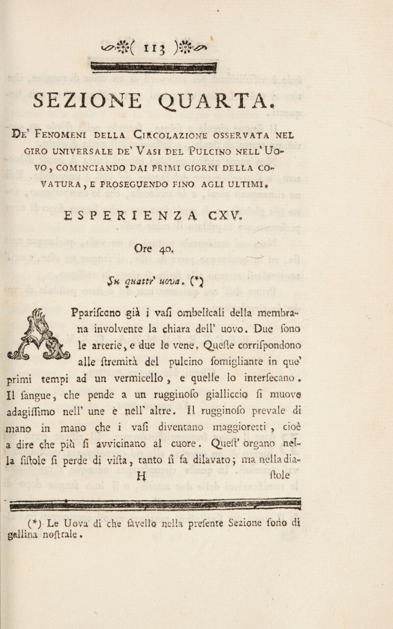 SEZIONE QUARTA. De Fenomeni della. Circolazione osservata nel GIRO UNIVERSALE De VASI DEL PULCINO NELL'Uo- VOj COMINCIANDO DAI PRIMI GIORNI DELLA CO¬ VATURA , E PROSEGUENDO FINO AGLI ULTIMI, ESPERIENZA GXV. Ore 40, $h quatti uova. (*} / Pparifccno già i vafi ombelicali della membra¬ na involvenre la chiara dell1 uovo. Due fono le arterie > e due le vene <? Quelle corrifpondono alle {tremitìi del pulcino fomigliante in que1 primi tempi ad un vermicello , e quelle lo interfecano. Il fangue, che pende a un rugginofo gialliccio fi muove adagifiimo nell une e nell' altre. Il rugginofo prevale di mano in mano che i vafi diventano maggiorerò , cioè a dire <foe più fi avvicinano ai cuore. Quell1 organo nel» la fifiole fi perde di villa, tanto fi fa dilavato ; ma nella dia» H fide (*) Le Uova di che favello nella preferite Sezione fono di gallina noflrale.