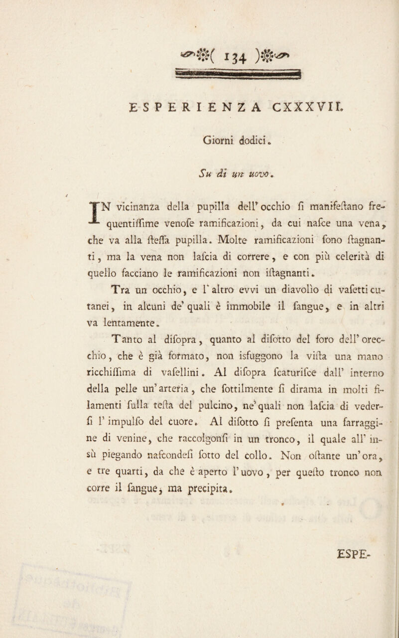 34 >$? ESPERIENZA CXXXVII. ’ \ Giorni dodici* Su di un uovo* TN vicinanza della pupilla deir occhio fi manifefiano fre- quentiflìme venofe ramificazioni, da cui nafce una vena* che va alla fteffa pupilla. Molte ramificazioni fono (lagnan¬ ti 5 ma la vena non laicia di correre, e con più celerità di quello facciano le ramificazioni non illagnanti. Tra un occhio, e V altro evvi un diavolìo di vafetti cu¬ tanei, in alcuni de’quali è immobile il fangue, e in altri va lentamente. Tanto al difopra, quanto al difetto del foro dell’ orec¬ chio , che è già formato, non isfuggono la villa una mano ricchillìma di vafellini. AI difopra fcaturilce dall1 interno della pelle un’ arteria 5 che fornimento fi dirama in molti fi¬ lamenti fulla teda del pulcino, ne’quali non lafcia di veder- fi T impulfc del cuore. Al difotto fi prefenta una farraggi- ne di venine, che raccolgonfì in un tronco, il quale alF in¬ sù piegando nafeondefi fotto dei collo» Non ofiante un’ora, e tre quarti, da che è aperto l’uovo , per quello tronco non corre il fangue $ ma precipita *