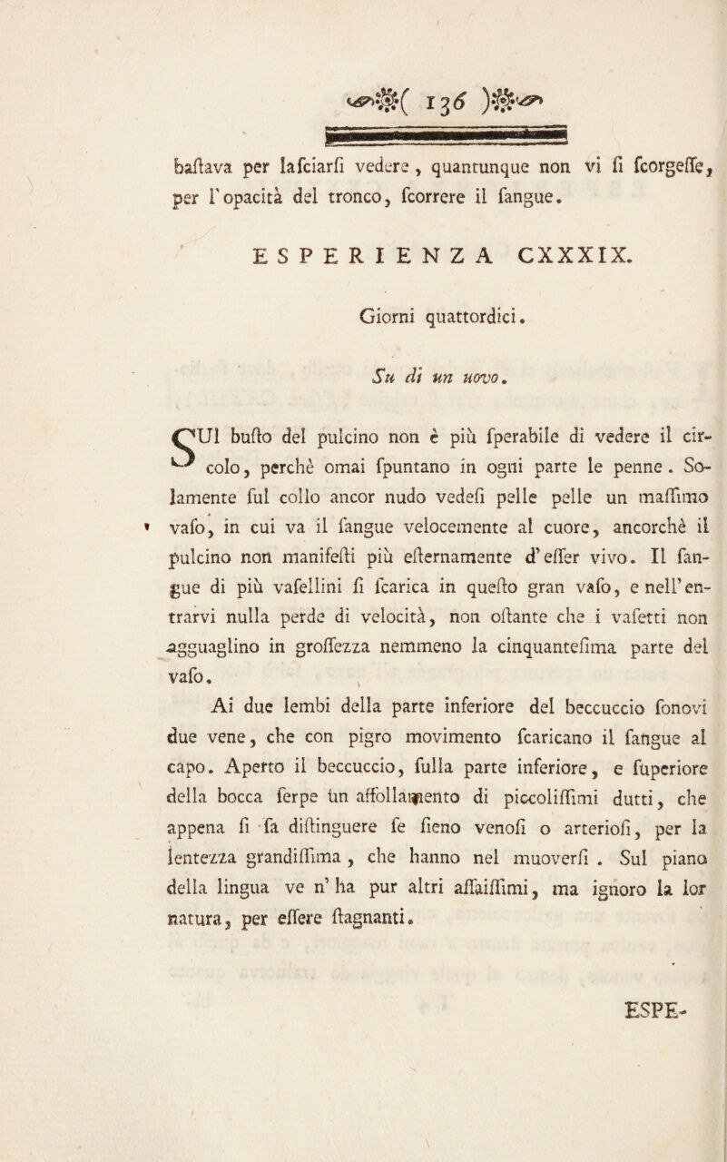 bacava per lafciarfi vedere , quantunque non vi fi fcorgeffe, per f opacità del tronco, fcorrere il fangue. ESPERIENZA GXXXIX. Giorni quattordici. Su di un uovo . OU1 bullo del pulcino non è più fperabile dì vedere il cir- colo, perchè ornai fpuntano in ogni parte le penne . So¬ lamente fui collo ancor nudo vedali pelle pelle un maflimo » vafo, in cui va il fangue velocemente al cuore, ancorché il pulcino non manifefti più ellernamente d’elfer vivo. Il fan¬ gue di più vafellini fi lcarica in quello gran vafo, e nell’ en¬ trarvi nulla perde di velocità, non oliarne che i vafetti non agguaglino in grolfezza nemmeno la cinquantelìma parte del vafo. , Ai due lembi della parte inferiore dei beccuccio fonovi due vene, che con pigro movimento fcaricano il fangue al capo. Aperto il beccuccio, fulla parte inferiore, e fupcriore della bocca ferpe Un affollamento di piccolilfimi dutti, che appena fi fa diftinguere fe fieno venoli o arterioll, per la lentezza grandilfima , che hanno nel muoverli . Sui piana della lingua ve n1 ha pur altri aifailfimi, ma ignoro la ior natura, per effere {lagnanti.