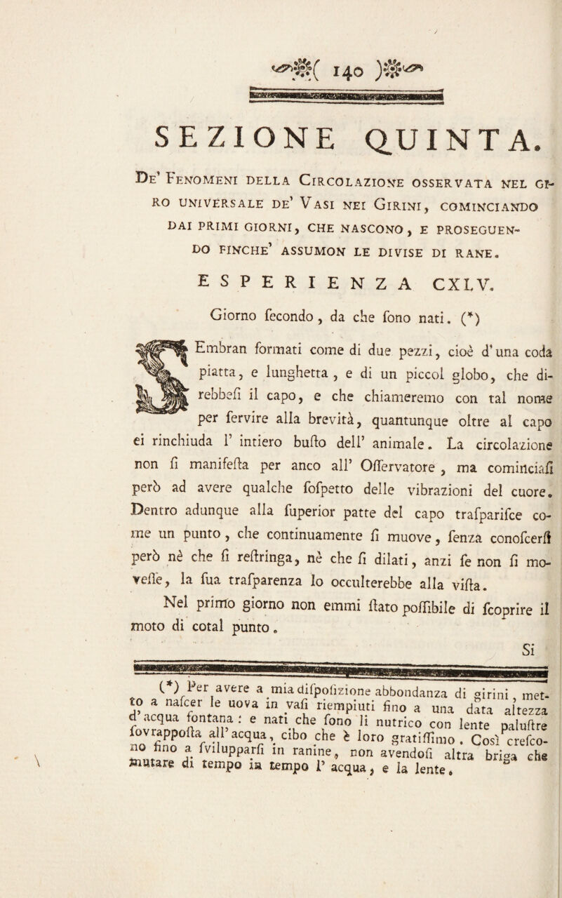 SEZIONE Q.U I NT A. De' Fenomeni della Circolazione osservata nel gi¬ ro UNIVERSALE De’ VASI NEI GIRINI, COMINCIANDO DAI PRIMI GIORNI, CHE NASCONO, E PROSEGUEN¬ DO FINCHE’ ASSUMON LE DIVISE DI RANE « esperienza cxlV. Giorno fecondo, da che fono nati. (*) Embran formati come di due pezzi, cioè d’una coda piatta, e lunghetta, e di un piccol globo, che di- rebbefi il capo, e che chiameremo con tal nome per fervire alia brevità, quantunque oltre al capo ei rinchiuda f intiero buffo dell’ animale. La circolazione non fi manifefta per anco all’ Oflervatore , ma cominciali però ad avere qualche fofpetto delle vibrazioni del cuore. Dentro adunque alia fupenor patte del capo trafpanice co¬ me un punto , che continuamente fi muove, fenza conofcerfl però nè che fi refringa, nè che fi dilati, anzi fe non fi mo¬ relle, la fua trafparenza Io occulterebbe alla villa. Nel primo giorno non emmi fato poffibile di fcoprire il moto di cotal punto. Si C*) Per avere a mia difpofmone abbondanza di girini, mei » Je uova ln ?*f} riempiuti fino a una data altezz, d acqua fontana .* e nati che fono li nutrico con lente m.luftr< a o fi n n « /* • i ^ • ( gratiflinio . Così crefco Uppa- 1 ram,ne’ BOn avendofl altra briga eb mutare di tempo m tempo I’ acqua, e la lente *