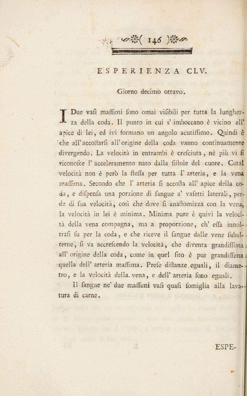 Giorno decimo ottavo. *T Due vafi maffimi fono ornai vifibili per tutta la iunghez- za della coda. Il punto in cui s’ imboccano è vicino all* apice di lei, ed ivi formano un angolo acutiffimo. Quindi è che alf accollarli all’origine della coda vanno continuamente divergendo. La velocità in entrambi è crefciuta , nè più vi 11 riconofce l’acceleramento nato dalla fi do le del cuore. Goral velocità non è però la della per tutta F arteria, e la vena maffima. Secondo che F arteria fi accoda all’ apice della co¬ da , e difpenfa una porzione di fangue a5 vafetti laterali, per¬ de di fua. velocità, cosi che dove fi an adoni izza con la vena, la velocità in lei è minima. Minima pure è quivi la veloci¬ tà della vena compagna, ma a proporzione, eh’ effa innol- trafi Fu per la coda, e che riceve il fangue dalle vene fubal- terne, fi va accrefcendo la velocità, che diventa grandidlma all’ origine della coda, come in quel dto è pur grandidlma •quella dell’arteria maffima. Prefe didanze eguali, il diame¬ tro, e la velocità della, vena, e dell’ arteria fono eguali. Il fangue ne’ due maffimi vafi quafi fomigiia alla lava-' tura di carne.