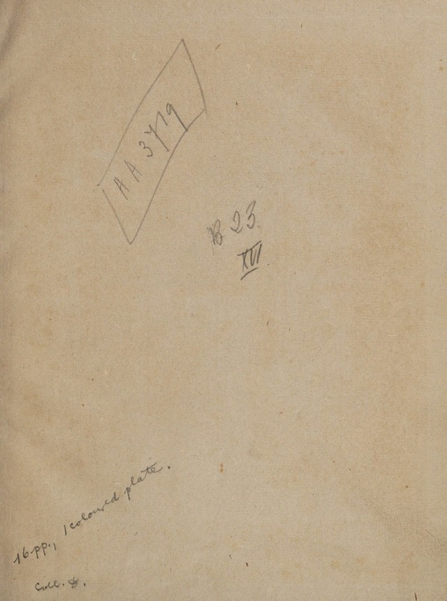 digitised image 3