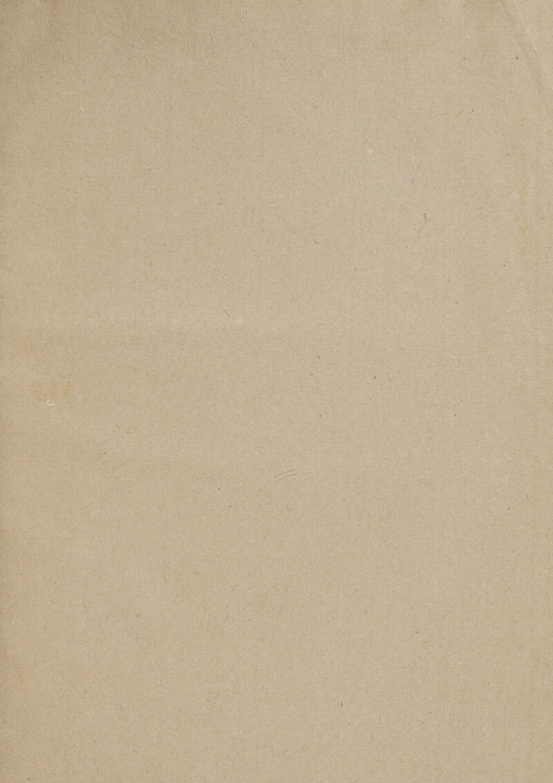 . ■ . ' ’s -vc ■ \ . y \