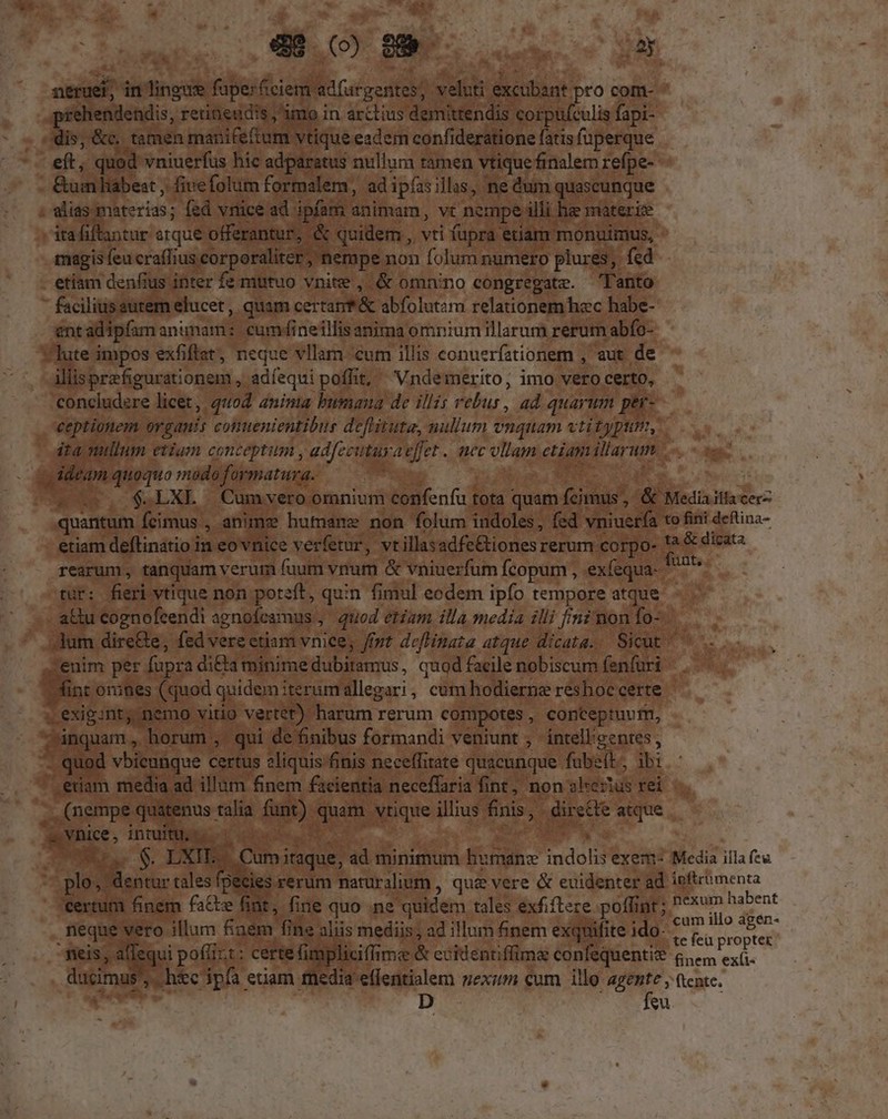 neruet, in lingue fuperóiciem adfurgentes, veluti excubant pro com- ehendendis, retineudis ;'imo in arctius demittendis corpufculis fapi- dis, &amp;c. tamen manifeftum vtique eadem confideratione fatis fuperque eft, quod vniuerfus hic adparatus nullum tamen vtique finalem refpe- &amp;um hábest , five folum formalem, ad ipíasillas, ne dum quascunque alias materias; fed vrice ad ipfam animam, vt nempe illi he materie itafiftantur eque offerantur, &amp; quidem , vti (upra etiam monuimus, magis feu craffius corporaliter, nempe non folum numero plures, fed etiam denfius inter fe mutuo vnite , &amp; omnino congregate. Tanto ' faciliusautem elucet, quam certanf&amp; abfolutam relationemhzc habe- entadipfam animam: cumdineillis anima omnium illarum rerum abfo- lute impos exfiftat, neque vllam cum illis conuerfztionem , aut. de illisprefigurationem , adíequi poffit; Vndemerito; imo vero certo, concludere licet , qu. aninia bumaua de illis rebus, ad quarum per- ceptionem organis conuenientibus deflituta, nullum vnquam vtityptm, ita mullum etiam conceptum , adfecuturaeffet .. mec ollam etiam illarum - ddeam quoquo modo formatura. | rearum, tanquam verum fuum vrrum &amp; vniuerfum fcopum , exfequa- tur: fieri vtique non poteft, quin fimul eodem ipfo tempore atque alu cognofeendi agnofcamus ,' quod etiam illa media illi fini mon fo- . enim per fupra di£ta minime dubitamus, quod facile nobiscum fenfuri fint onines (quod quidem iterumallegari, cum hodierne reshoc certe - exigunt; nemo vitio vertet) harum rerum compotes, conteptuum, inquam, horum , qui de finibus formandi veniunt ; intell'eentes, quod vbicunque certus eliquis finis neceffitate quacunque fuübeít, ibi .etiam media ad illum finem facientia neceffaria fint; non slerius rei (nempe quatenus talia funt) quam vtique illius finis, | directe atque - vnice, intuitu, CUu. $. EXIE/ Cumiraque, ad minimum humans indolis exem- plo; dentur tales fpecies rerum naturalium , quz vere &amp; evidenter ad certum finem fate fint, fine quo ne quidem tales exfiftere poffint; neque vero illum fiaem fine aliis mediis; ad illum finem exquifite ido- -fieis, allequi pofiit: certe fimpliciffime &amp; evidentiffime confequentize ducimus, hic pa etiam media eflentialem nexum cum illo e : D eu Media illa feu ipftrumenta nexum habent cum illo agen- te feü propter finem ex(i- ftente.,