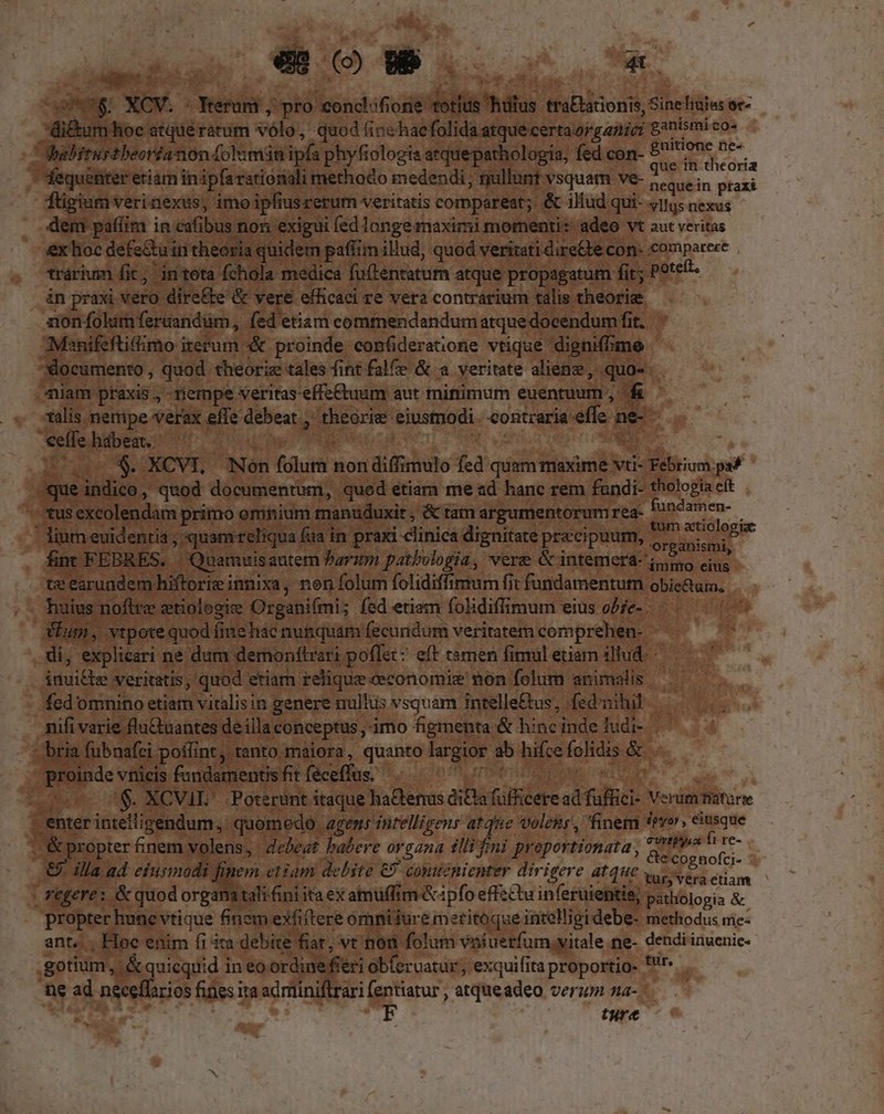 — T hae ! 3 $&amp; XV. Kerom ;'pro conctif one | tius hülus. thsblonis Silv: lraius oe- oc atque rarum vólo, quod fine: haefaliaaqieceraargani ganismi co- aed m à bes «theordanon (olamin ipfa phyfiologia arquepathologis, tee vam m r tiam inipfaratiósiali methodo medendi; gullu vsquam ive dem in gtaxi fiu: rerum Veritatis compareat; - iliud qui- «itus nexus d | paffim in cafibus n. 1 exigui fedlongemaximi mornentis adeo ' 'Vt aut veritas €x hoc defe&amp;uin th. b. uidem paffim illud, quod veritati dire&amp;te con- «comparere , win. 7 ola medica futentatum atque propagatum fit; Potefi praxi vero d kde &amp; Vere efficaci re vera contrarium talis ti aon folum orandum, fed etiam commendandum atque docent Aanifeftidimo iterum proinde. confideratione vtique. p. ; Ocumento, quod theoriz tales fint fale &amp; a veritate aliene, qu h miam praxis, nempe veritas effe&amp;uum aut minimum euentuum , M talis nempe verax effe debeat » theorise eiusmodi. contzaria effe ne elfe hdbeat. SENA ; ki ptam $. -XCVI, 'Nón filum non di mulo fed quam maxime ' Sot sebum pal que indico , wd ee o geom xa me ed. hanc esl fundi- 'thologia eft  fundamen- , tum xtiologiz: aeger 1$ veri nexus; imoi e e N | tont CODE is v Poe NE Beas iba (iare Eni. Verüm fatur agens intelligens atque woleir, finem evo, eiusque E organa tllifini preportionata , igllperti re- &amp;e'cognofci- n : tiam T rj iom in cea! MH eruatur. E ta proportio- tirs E Hd neceffarios finesi ita adminiflrari (entiatur , atqueadeo vera za- Es j| | THESE ture