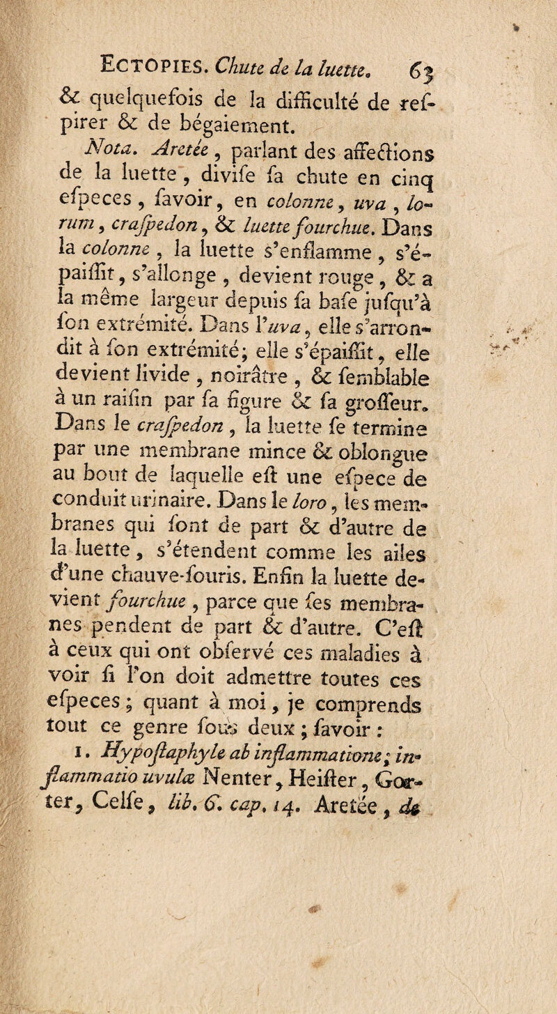 & quelquefois de la difficulté de ref- pirer & de bégaiement. Nota. Arctée , parlant des affilions cie la luette 5 divife fa chute en cinq efpeces 9 favoir, en colonne, , /0« tutti j crafpedon, & luette fourchue. Dans la colonne , la luette s’enflamme , s’é- paiffit, s’allonge , devient rouge , & a la même largeur depuis fa bafe jufqu’à fon extrémité. Dans Vuva, elle s’arron* dit à fon extrémité; elle s’épaiffit, elle devient livide , noirâtre , & fembiable à un raifm par fa figure oC fa grofTeur» Dans le crafpedon , la luette fe termine par une membrane mince 01 obîongue au bout de laquelle efl une efpece de conduit urinaire. Dans le loro, les mem¬ branes qui font de part &c d’autre de la luette, s’étendent comme les ailes df’une chauve-fouris. Enfin la luette de¬ vient fourchue , parce que fes membra¬ nes pendent de part & d’autre. C’efl à ceux qui ont obfervé ces maladies à voir fi Ton doit admettre toutes ces efpeces; quant à moi, je comprends tout ce genre fouu deux ; favoir : I. HypoflaphyU ah inflammatione ; in* Jlammatio uvula Nenter, Heifter 5 Gor- ter5 Celle , lih. G, cap, /4, Aretëe , d$