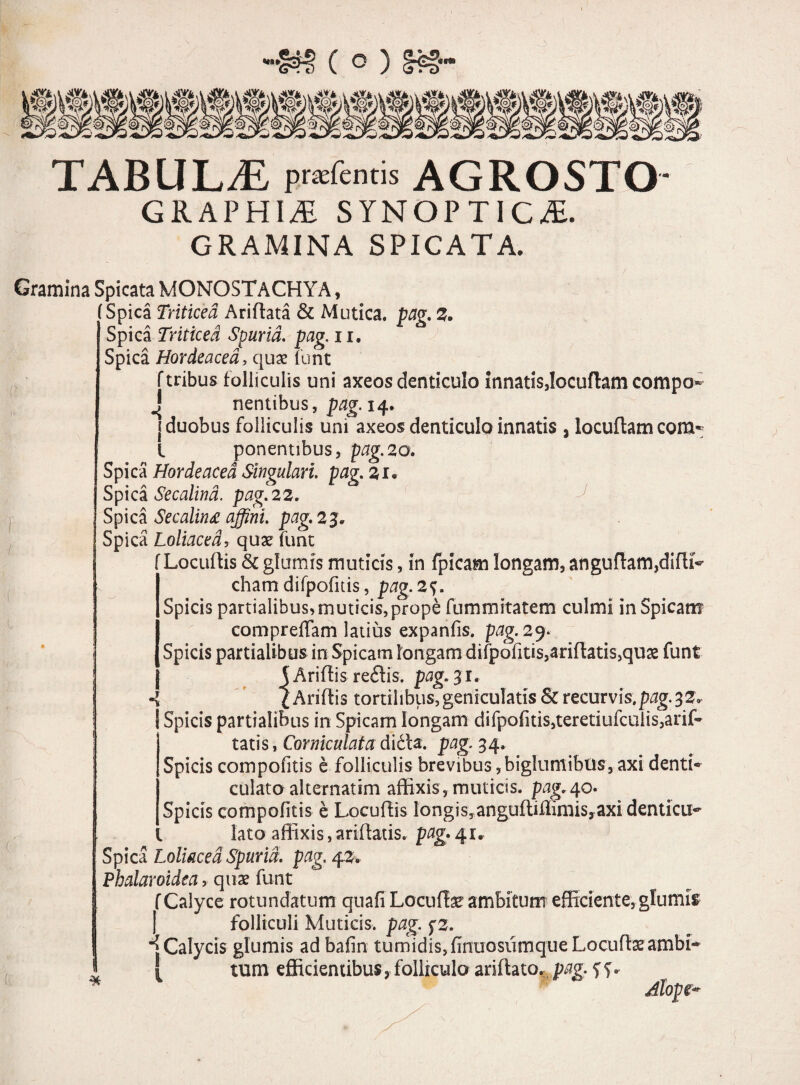 \ H> ( ° ) §* TABULAE praebentis AGROSTO- GRAPHItE synoptic#. GRAMINA SPICATA. Gramina Spicata MONOSTACHYA, (Spica Triticea Ariflata & Mutica, pag. 3. 1 Spica Triticea Spuria, pag. 11. Spica Hordeacea, qux funt f tribus folliculis uni axeos denticulo innatis,Iocuflam compo* J nentibus,pag. 14. j duobus folliculis uni axeos denticulo innatis , locuftam com«; l ponentibus, pag.20. Spica Hordeacea Singulari, pag. 31. Spica Secalina. pag. 22. Spica Secalin£ affini, pag. 23« Spica Loliacea, quse funt f Locuftis & glumis muticis, in fpicam longam, anguftam,difK- cham difpofitis, pag. 2$. Spicis partialibus,muticis,prope fummitatem culmi inSpicam compreflam latius expanfis. pag. 29. Spicis partialibus in Spicam longam difpofitis,ariffatis,qU£ funt S Ariftis reflis. pag. 31. ( Ariftis tortilibus, geniculatis & recurvis,pag. 32* I Spicis partialibus in Spicam longam difpofitis,teretiufculis,arif~ tatis, Corniculata ditis, pag. 34, Spicis compofitis e folliculis brevibus ,biglumibus, axi dentia culato alternatim affixis, muticis, pag.40. Spicis compofitis e Locuflis longis,angufliflimisyaxi denticu¬ lato affixis, ariffatis. pag. 41« Spica Loliacea Spuria, pag. 4z* Phalaroidea, quae funt f Calyce rotundatum quafi Locufte ambitum efficiente, glumis j folliculi Muticis, pag. fz. ^ Calycis glumis ad bafin tumidis, finuosiimque Locute ambi- * tum efficientibus, folliculo ariflato. pag. f s• Alope-