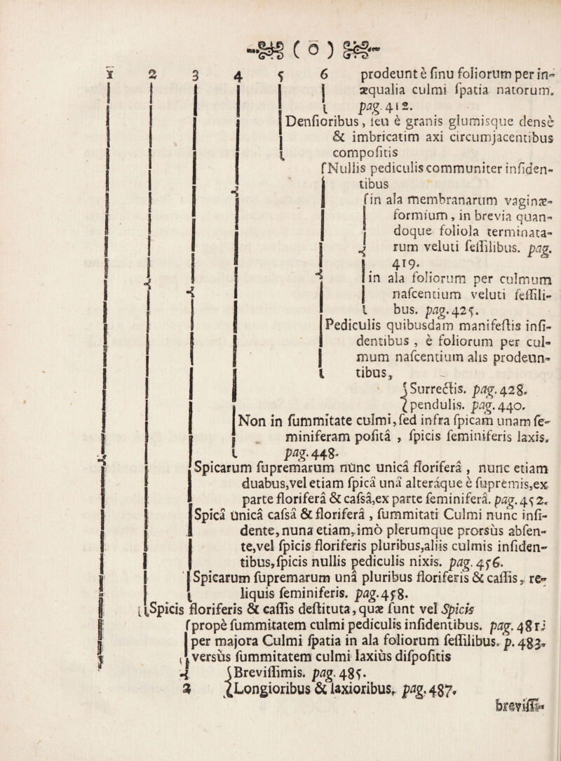 ■T —iiTi,- tnest M», 3C (o) '««0 3 1 prodeunt e finu foliorum per in** xqualia culmi fpatia natorum, Denfioribus, ieu e granis glumisque dense & imbricatim axi circumjacentibus compofitis f Nullis pediculis communiter inilden- tibus f in ala membranarum vaginx- formium, in brevia quan- doque foliola terminata- J rum veiuti feffilibus. pag. 1. 4^9* t in ala foliorum per culmum nafcentium veiuti fefiili- i bus. pag, 425. Pediculis quibusdam manifeftis infi- dentibus , e foliorum per cul¬ mum nafcentium alis prodeun¬ tibus, jSurreflis. pag. 42S. (pendulis, pag.440. Non in fummitate culmi,fed infra fpicafn unamfe- miniferam pofita , fpicis feminiferis laxis, pag. 448- Spicarum fupremamm ntinc unica florifera , nunc etiam duabus,vel etiam fpica una alteraque e fupr£mis,ex Spica Unica cafsa & florifera , fummitatr Culmi nunc infi- * dente, nuna etiam, imo plerumque prorsus abfen- I te,vel fpicis floriferis pluribus,aliis culmis infiden- tibus,fpicis nullis pediculis nixis, pag. 4 f 6. | Spicarum fupremarum una pluribus floriferis & caffis, re- [ liquis feminiferis. pag.4f8- [iSpicis floriferis & caflis deftituta,qux funt vel Spicis f prope fummitatem culmi pediculis infidentibus. pag. 4S1J I per majora Culmi fpatia in ala foliorum feffilibus. p. 433* < j versus fummitatem culmi laxius difpofitis fBreviffimis. pag. 48^. % ^Longioribus & laxioribus, pag, 437,