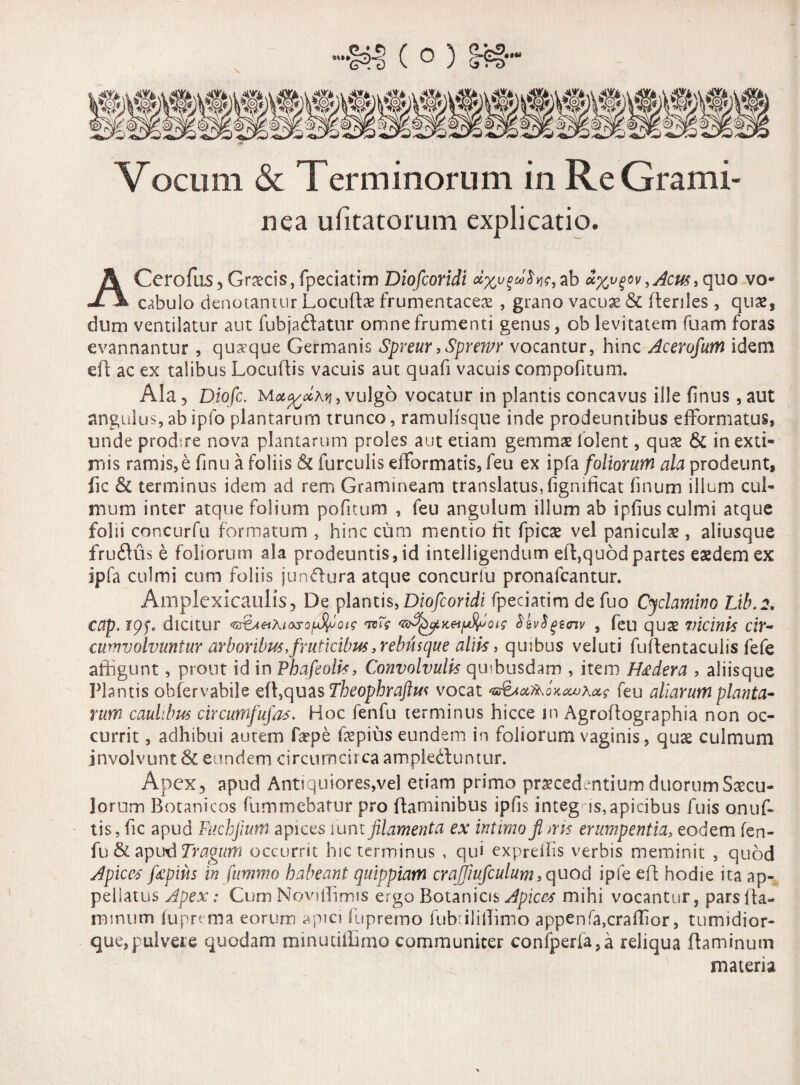 nea ufitatorum explicatio. A Cerofus, Graecis, fpeciatim Diofcoridi #%^'<$V,ab d%v%o\i ,Acus, quo vo¬ cabulo denotantur Locudx frumentaceae , grano vacuae & (lenies , quae, dum ventilatur aut fubjaftatur omne frumenti genus, ob levitatem fuam foras evannantur , quaeque Germanis Spreur, Sprervr vocantur, hinc Acerofum idem ed ac ex talibus Locudis vacuis aut quafi vacuis compofitum. Ala, Diofc. vulgo vocatur in plantis concavus ille (inus , aut angulus,abipfo plantarum trunco, ramulisque inde prodeuntibus efformatus, unde prodsre nova plantarum proles aut etiam gemmae folent, quae & in exti¬ mis ramis, e fmu a foliis & furculis efformatis, feu ex ipfa foliorum ala prodeunt, fic & terminus idem ad rem Gramineam translatus, fignificat finum illum cul¬ mum inter atque folium pofitum , feu angulum illum ab ipfius culmi atque folii coneurfu formatum , hinc cum mentio fit fpicae vel paniculae, aliusque fruftus e foliorum ala prodeuntis, id intelligendum ed,quod partes eaedem ex ipfa culmi cum foliis jundura atque concurlu pronafeantur. Amplcxicaulis, De plantis, Diofcoridi fpeciatim de fuo Cyclamino Lib.i, cap. ipfe dicitur <n^tAetKi<ysofjS^otg $ev$gtav , feu quae vicinis cir¬ cumvolvuntur arboribus,fruticibus,rebusque aliis, quibus veluti ludentacuiis fefe affigunt, prout id in Phafeolis, Convolvulis qmbusdam , item H&dera , aliisque Plantis obiervabile ed,quas Theophraftus vocat ‘B&tocfaoKMJhas feu aliarum planta¬ rum caulibus circutnfufas. Hoc fenfu terminus hicce in Agrodographia non oc¬ currit , adhibui autem fepe fepius eundem in foliorum vaginis, quae culmum involvunt & eundem circumcirca amplectuntur. Apex, apud Antiquiores,vel etiam primo praecedentium duorum Saecu¬ lorum Botanicos fummebatur pro daminibus ipfis integ is, apicibus fuis onuf- tis, fic apud Fuchjium apices mm filamenta ex intimo fimis erumpentia, eodem fen- fu & apud Tragum occurrit hic terminus , qui expreffis verbis meminit , quod Apices fiepius in fummo habeant quippiam craffiufculum, quod ipfe ed hodie ita ap¬ pellatus Apex: Cum Noviffimis ergo Botanicis Apices mihi vocantur, parsda- minum luprerna eorum apici fupremo fubiilillimo appenfa,cra(Iior, tumidior- que, pulvere quodam minuciffimo communiter confperfa,a reliqua daminum materia