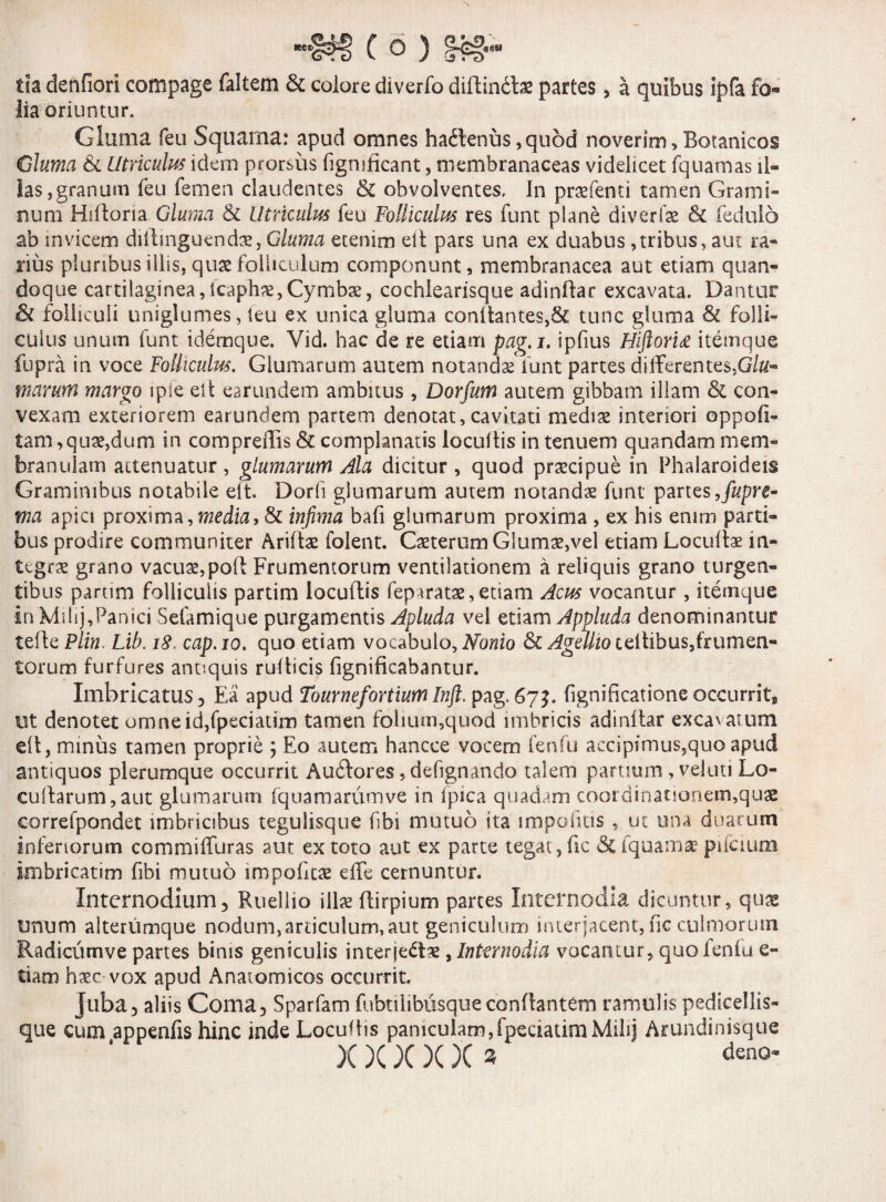 tla denfiori compage faltem & colore diverfo diilin<to partes, a quibus ipfa fo¬ lia oriuntur. Gluma feu Squama: apud omnes hailenus,quod noverim, Botanicos Gluma &c Utriculus idem prorsus figmficant, membranaceas videlicet fquamas il¬ las,granum feu femen claudentes & obvolventes. In praefenti tamen Grami¬ num Hifloria Gluma St Utriculus feu Folliculus res funt plane diverfae & fedulo ab invicem difhnguendae, Gluma etenim elt pars una ex duabus,tribus, aut ra¬ rius pluribus illis, quae folliculum componunt, membranacea aut etiam quan¬ doque cartilaginea, Icaphx, Cymbae, cochlearisque adinftar excavata. Dantur & folliculi uniglumes, leu ex unica gluma cenitantes,tunc gluma & folli¬ culus unum funt idemque. Vid. hac de re etiam pag.i. ipfius Hiftoru itemque fupra in voce Folliculus. Glumarum autem notanda funt partes differentes,G/«- fnarum margo ipie elt earundem ambitus , Dorfum autem gibbam illam & con¬ vexam exteriorem earundem partem denotat, cavitati mediae interiori oppoli- tam,quidum in compreffis & complanatis iocultis in tenuem quandam mem¬ branulam attenuatur , glumarum Ala dicitur , quod praecipue in Phalaroideis Graminibus notabile eit. Dorii glumarum autem notandae funt partes ,fupre- ma apici proxima, media, & infima bafi glumarum proxima , ex his enim parti¬ bus prodire communiter Ariltae folent. Caeterum Glumae,vel etiam Locuto in¬ tegrae grano vacuae,poft Frumentorum ventilationem a reliquis grano turgen¬ tibus partim folliculis partim locuflis fep iratae, etiam Acus vocantur , itemque in Mi Ii j, Pan ici Sefamique purgamentis Apluda vel etiam Appluda denominantur tefle Plin. Lib. 18. cap.io. quo etiam vocabulo, Nonio & Agdho teltibus,frumen« torum furfures antiquis rufticis fignificabantur. Imbricatus^ Ea apud TournefortiumInft. pag,67^. fignificatione occurrit, ut denotet omneidffpeciatim tamen folium,quod imbricis adinftar excavatum elt, minus tamen proprie ; Eo autem hancce vocem fenfu accipimus,quo apud antiquos plerumque occurrit Auftores, defign anclo talem partium , veluti Lo¬ cutiarum, aut glumarum fquamarumve in fpica quadam coordinationem,quae correfpondet imbricibus tegulisque fibi mutuo ita impolitis , ut una duarum inferiorum commiffuras aut ex toto aut ex parte tegat, fic & fquamae pilcium imbricatim fibi mutuo impofitae effe cernuntur. Internodium, Ruellio illae ftirpium partes Internodia dicuntur, quas unum alterumque nodum,articulum, aut geniculum interjacent, fic culmorum Radicumve partes binis geniculis interjectae, Internodia vocantur, quo fenfu fi¬ dam haec vox apud Anatomicos occurrit. Juba, aliis Coma3 Sparfam fubtiiibusque conflantem ramulis pedicellis- que cum appenfis hinc inde Locuflis paniculam,fpeciatimMilij Arundinisque X )C X X X * den°-