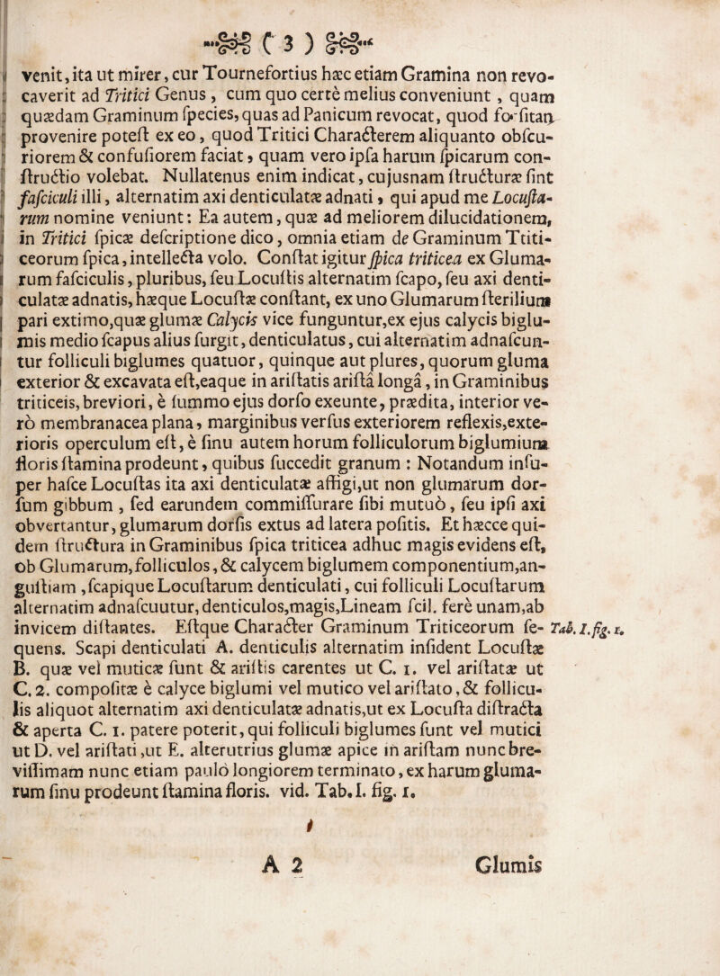 •i venit, ita ut mirer, cur Tournefortius haec etiam Gramina non revo- caverit ad Tritici Genus , cum quo certe melius conveniunt, quam I quaedam Graminum fpecies, quas ad Panicum revocat, quod fofitat> provenire poteft ex eo, quod Tritici Characterem aliquanto obfcu- riorem & confufiorem faciat » quam vero ipfa harum fp>icarum con- ftrudlio volebat. Nullatenus enim indicat, cujusnam llrudturac fint 1 fafciculi illi, alternatim axi denticulatas adnati» qui apud me Locufta- rum nomine veniunt: Ea autem, quae ad melioremdilucidationem, in Tritici fpicae defcriptione dico, omnia etiam de Graminum Ttiti- ceorum fpica, intelleCta volo. Conflat igitur Jpica triticea ex Gluma¬ rum fafciculis, pluribus, feu Locuflis alternatim fcapo, feu axi denti¬ culatae adnatis, haeque Locufhe conflant, ex uno Glumarum flerilium pari extimo,quae glumae Calycis vice funguntur,ex ejus calycis biglu- iuis medio fcapus alius furgit, denticulatus, cui alternatim adnafcun- tur folliculi biglumes quatuor, quinque aut plures, quorum gluma exterior & excavata e(l,eaque in ariflatis arifla longa, in Graminibus triticeis,breviori, e furnnio ejus dorfo exeunte, praedita, interior ve¬ ro membranacea plana» marginibus verfus exteriorem reflexis,exte- rioris operculum efl,e finu autem horum folliculorum biglumiuna floris flamina prodeunt» quibus fuccedit granum : Notandum infu- per hafce Locuflas ita axi denticulata affigi,ut non glumarum dor- fum gibbum , fed earundem commiffurare fibi mutuo, feu ipfi axi obvertantur, glumarum dorfis extus ad latera pofitis. Et haecce qui¬ dem ftruftura in Graminibus fpica triticea adhuc magis evidens efl, ob Glumarum,folliculos,& calycem biglumem componentium,an- guiliam ,fcapiqueLocuflarum denticulati, cui folliculi Locuflarum alternatim adnafcuutur,denticulos,magis,Lineam fcil. fere unam,ab invicem diflantes. Eflque Chara6ler Graminum Triticeorum fe- Ta&.i.fo quens. Scapi denticulati A. denticulis alternatim infident Locuflx B. quas vel muticae funt & ariflis carentes ut C, i. vel ariflatx ut C, 2. compofitx e calyce biglumi vel mutico vel ariflato ,& follicu¬ lis aliquot alternatim axi denticulata? adnatis,ut ex Locufta diftradla & aperta C. i. patere poterit, qui folliculi biglumes funt veJ mutici ut D, vel ariflati ,ut E. alterutrius glumae apice in ariftam nunc bre- viflimam nunc etiam paulo longiorem terminato, ex harum gluma¬ rum fmu prodeunt flamina floris, vid. Tab. I. fig, r. ■ v ■ ■ i A 2 Glumis