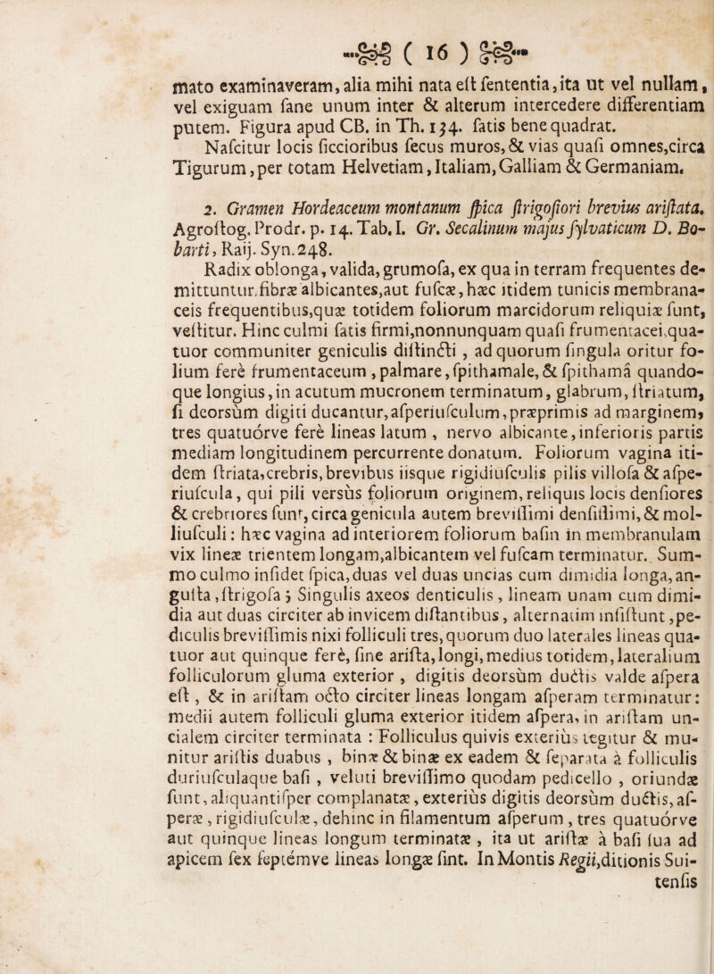 Hiato examinaveram,alia mihi nata edfententia, ita ut vel nullam, vel exiguam fane unum inter & alterum intercedere differentiam putem. Figura apud CB. in Th. i $4. fatis bene quadrat. Nafcitur locis ficcioribus fecus muros, St vias quafi omnes,circa Tigurum,per totam Helvetiam,Italiam,Galliam & Germaniam. 2. Gramen Hordeaceum montanum Jpica ftrigofiori brevius ariflata. Agrodog. Prodr. p. 14. Tab, I. Gr. Secalinum majus fylvaticum D. Bo- barti, Raij. Syn.248. Radix oblonga, valida, grumofa, ex qua in terram frequentes de- mittuntur,fibrae albicantes,aut fufcas,haec itidem tunicis membrana¬ ceis frequentibus,quse totidem foliorum marcidorum reliquis funt, vellitur. Hinc culmi fatis firmi,nonnunquam quafi frumentacei, qua- tuor communiter geniculis didindfi , ad quorum fingula oritur fo¬ lium fere frumentaceum ,palmare,fpithamale,&fpithama quando¬ que longius,in acutum mucronem terminatum, glabrum,driatum, fi deorsum digiti ducantur, afperiufculum,praeprirnis ad marginem? tres quatuorve fere lineas latum , nervo albicante,inferioris partis mediam longitudinem percurrente donatum. Foliorum vagina iti¬ dem (friata,crebris,brevibus iisque rigidiufculis pilis villofa St afpe- riufcula, qui pili versus foliorum originem, reliquis locis denfiores St crebriores funt, circa genicula autem brevillimi den(itlimi,&mol- liufculi: haec vagina ad interiorem foliorum bafin in membranulam vix lineae trientem longam,albicantem velfufcam terminatur.. Sum¬ mo culmo infidet fpica,duas vel duas uncias cum dimidia longa, an- gulfa, ftrigofa j Singulis axeos denticulis, lineam unam cum dimi¬ dia aut duas circiter ab invicem dilfantibus, alternarim infiffunt,pe¬ diculis breviffimis nixi folliculi tres,quorum duo laterales lineas qua- tuor aut quinque fere, fine arida,longi,medius toridem,lateralium folliculorum gluma exterior, digitis deorsum dudis valde afpera elf , St in aridam o6fo circiter lineas longam afperam terminatur: medii autem folliculi gluma exterior itidem afpera, in aridam un¬ cialem circiter terminata : Folliculus quivis exterius tegitur St mu¬ nitur aridis duabus , binae & binae ex eadem St feparata a folliculis duriufculaqtie bafi , veluti brevidimo quodam pedicello , oriundae funt, aliquantifper complanatas, exterius digitis deorsum du6fis,af- peras, rigidiufculae, dehinc in filamentum afperum , tres quatuorve aut quinque lineas longum terminatas , ita ut aridas a bafi (ua ad apicem fex feptemve lineas longas fint. In Montis Regii,ditionis Sui- tenfis