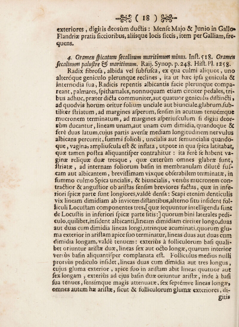 ( *8 ) exteriores, digitis deosum du£tis: MenfeMajo & Junio in Gallo» Flandriae pratis fictioribus, aliisque locis fictis, item per Galliam, fre¬ quens» 4. Gramen fyicatum fecalinum maritimum minus. Gramen fecalinum paluftre & maritimum. Raij, Synop. p. 248. Hift. Pl. 1358- Radix fibrofa, albida vel fubfufca, ex qua culmi aliquot, uno alteroque geniculo plerunque reclines , ita ut haec ipfa genicula & internodia fua, Radicis repentis albicantis facie plerunque compa- reant, palmares, fpithamaks,nonnuquam etiam circiter pedales, tri¬ bus adhuc,praeter didta communiter,aut quatuor geniculis diftintii, ad quodvis horum oritur folium uaciale aut biunciale,glabrum,fub- tiliter flriatum ,ad margines afperum,fenfim in acutum tennemque mucronem terminatum, ad margines afperiufculum fi digiu deor¬ sum ducantur, lineam unam,aut unam cum dimidia,quandoque & fere duas latum,cujus partis averfae mediam longitudinem nervulus albicans percurrit, fummi folioli, uncialis aut femuncialis quando¬ que , vagina* ampliufcula eft & inflata, utpote in qua fpica latitabat, quae tamen poftea aliquantifper contrahitur : ita fere le habent va¬ ginae reliquae duaf tresque , qua2 caeterum omnes glabrae funt, flriatae, ad internam foliorum bafin in membranulam dilute fuf- cam aut albicantem, breviflimam vixque obferabilem terminatae, in fummo culmo Spica uncialis, & biuncialis, versus mucronem con- tratiior &anguftior ob ariftas fenfim breviores fadas, quae in infe¬ riori fpicae parte funt longiores,valde denfa: Scapi etenim denticulis vix lineam dimidiam ab invicem diftantibus,alterno fitu infident fol¬ liculi Locultam componentes tres,[quae fequuntur intelligenda funt de Locuflis in inferiori fpicae parte fitis:] quorum bini laterales pedi¬ culo,quilibet,infident albicanti,lineam dimidiam circiter longo,duas aut duas cum dimidia lineas longi,utrinque acuminati,quorum glu¬ ma exterior in ariftam apice fuo terminatur, lineas duas aut duas cum dimidia longam,valde tenuem: exterius a folliculorum bafi quali¬ bet oriuntur ariftae duae,lineas fex aut otio longae,quarum interior Versus bafin aliquantifper complanata eft. Folliculus medius nulli prorsus pediculo infidet,lineas duas cum dimidia aut tres longus, cujus gluma exterior , apice fuo in ariftam abit lineas quatuor aut fex longam , exterius ad ejus bafin duae oriuntur ariftae, inde a bafi fua tenues, fensimque magis attenuatae,fexfeptemve lineas longae» omnes autem hae ariftae, ficut & folliculorum glumae exteriores, di¬ gitis