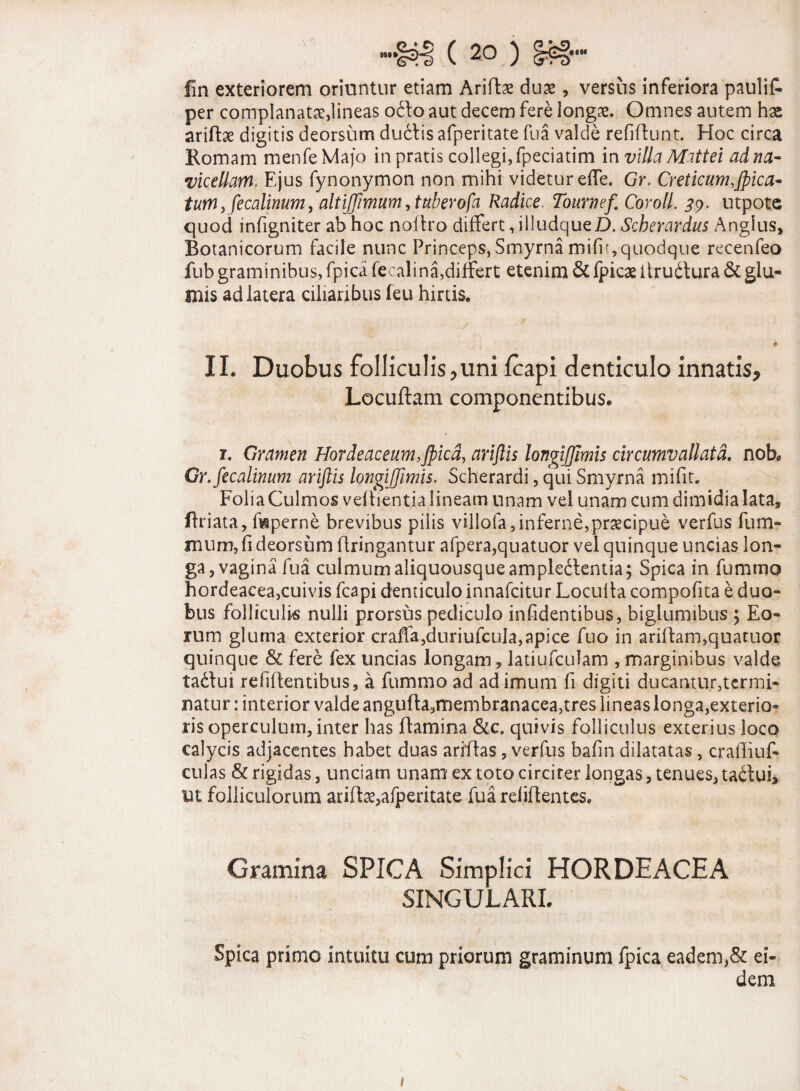 fin exteriorem oriuntur etiam Aridae duae, versus inferiora paulif- per complanatae,lineas ofto aut decem fere longae. Omnes autem hae ariftae digitis deorsum dudis afperitate fu a valde refiftunt. Hoc circa Romam menfeMajo in pratis collegi,fpeciatim in villa Mat t ei adna- •vicetlam. Ejus fynonymon non mihi videtur effe. Gr. Creticum,Jpica- tum, fecalinum, altiffimum, tuberofa Radice. Toumef CorolL 39. utpote quod infigniter ab hoc noftro differt, illudqueD. Scherardus Anglus, Botanicorum facile nunc Princeps, Smyrna mifu, quodque recenfeo fub graminibus, fpica fecalina,differt etenim & fpicae itrudlura & glu¬ mis ad latera ciliaribus feu hirtis. II. Duobus folliculis,uni fcapi denticulo innatis, Locuftam componentibus. 1. Gramen Hordeaceum, Jpicd, ariflis longifjimis circumvallata, nob* Gr. fecalinum ariftis longiffimis. Scherardi, qui Smyrna mifit. FoliaCulmos veflientia lineam unam vel unam cum dimidia lata, flriata, fwperne brevibus pilis villofa,inferne,praecipue verfus fum- mum, fi deorsum flringantur afpera,quatuor vel quinque uncias lon¬ ga, vagina fu a culmum aliquousqueampleftentia; Spica in fummo hordeacea,cuivis fcapi denticulo innafcitur Loculta compofita e duo¬ bus folliculis nulli prorsus pediculo infidentibus, biglumibus 5 Eo¬ rum gluma exterior craffa,duriufcula, apice fuo in aridam,quatuor quinque & fere fex uncias longam, latiufculam , marginibus valde taftui re fidentibus, a fummo ad ad imum fi digiti ducantur,termi¬ natur : interior valde anguda,membranacea,tres lineas longa,exterio¬ ris operculum, inter has damina &c. quivis folliculus exterius loco calycis adjacentes habet duas aridas, verfus bafin dilatatas, crafliuf- culas & rigidas, unciam unam ex toto circiter longas, tenues, ta£lui> ut folliculorum aridae,afperitate fu a reddentes. Gramina SPICA Simplici HORDEACEA SINGULARI. Spica primo intuitu cum priorum graminum fpica eadem,& ei¬ dem I