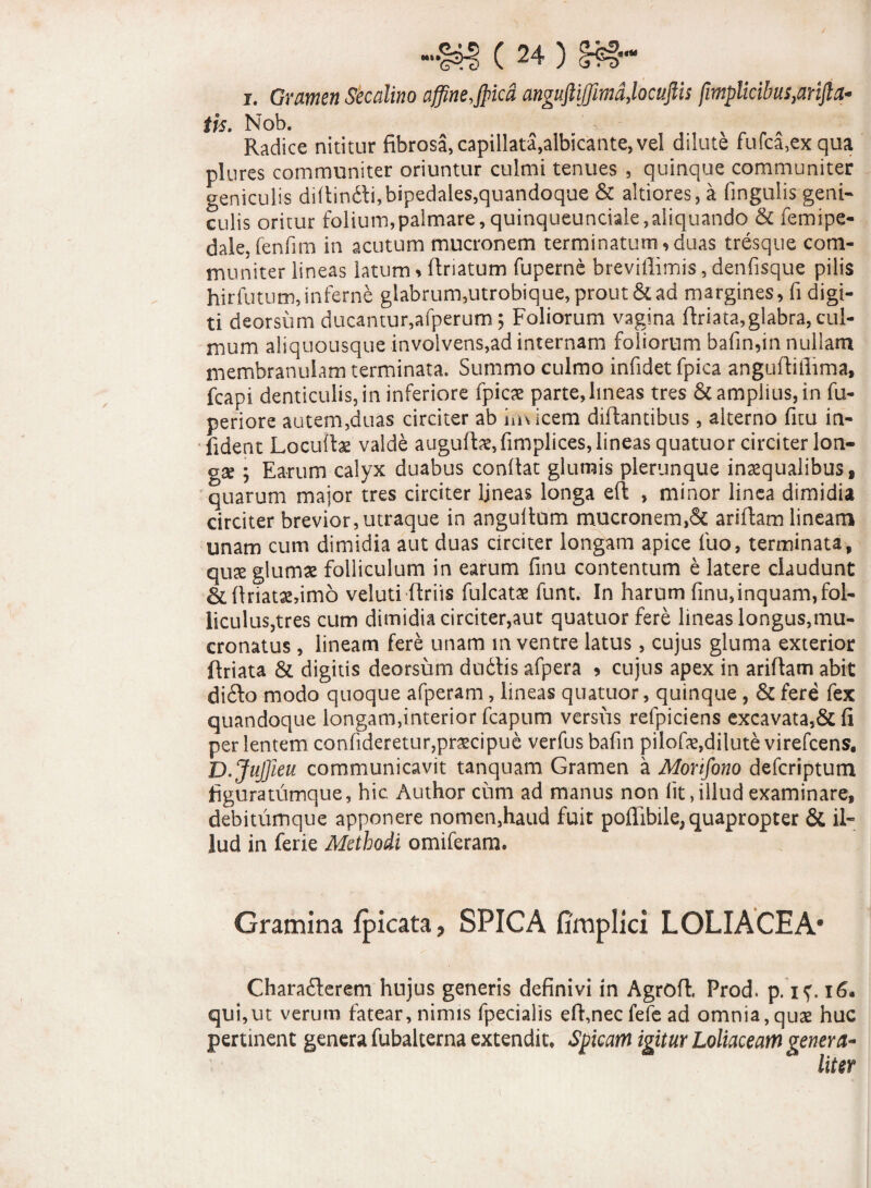 i. Gramen Secalino affine,Jpicd anguftiffimd>locuftis fimplicibus}anfla- iis. Nob. Radice nititur fibrosa, capillata,albicante, vel dilute fufca,exqua plures communiter oriuntur culmi tenues , quinque communiter geniculis diRindti, bipedales,quandoque & altiores, a lingulis geni¬ culis oritur folium,palmare,quinqueunciale,aliquando & femipe- dale.fenfim in acutum mucronem terminatum,duas tresque com¬ muniter lineas latum, Rriatum fuperne breviilimis, denfisque pilis hirfutum,inferne glabrum,utrobique, prout & ad margines, fi digi¬ ti deorsum ducantur,afperum; Foliorum vagina firiata,glabra, cul¬ mum aliquousque involvens,ad internam foliorum bafin,in nullam membranulam terminata. Summo culmo infidet fpica anguRifiima, fcapi denticulis, in inferiore fpicae parte,lineas tres & amplius, in fu- periore autem,duas circiter ab iiuicem diftantibus, alterno ficu in- fident LocuRae valde auguRae,fimplices, lineas quatuor circiter lon¬ ga; ; Earum calyx duabus conRat glumis plerunque inaequalibus, quarum major tres circiter Ijneas longa eR , minor linea dimidia circiter brevior, utraque in anguRom mucronem,& ariRam lineam unam cum dimidia aut duas circiter longam apice luo, terminata, quse glumae folliculum in earum finu contentum e latere claudunt &Rriatse,im6 veluti Rriis fulcatae funt. In harum finu,inquam, fol¬ liculus,tres cum dimidia circiter,aut quatuor fere lineas longus,mu¬ cronatus , lineam fere unam m ventre latus, cujus gluma exterior Rriata & digitis deorsum dudtis afpera > cujus apex in ariRam abit di£k> modo quoque afperam, lineas quatuor, quinque , & fere fex quandoque longam,interior fcapum versus refpiciens excavata,&fi per lentem confideretur,praecipue verfus bafin pilofae,dilute virefcens. D.JuJjleu communicavit tanquam Gramen a Morifono defcriptum figuratumque, hic Author cum ad manus non fit,illud examinare, debitumque apponere nomen,haud fuit poffibile, quapropter & il¬ lud in ferie Methodi omiferam. Gramina fpicata, SPICA fimplici LOLIACEA* Chara&erem hujus generis definivi in AgroR. Prod. p. if. 16. qui,ut verum fatear, nimis fpecialis effnecfefe ad omnia, quae huc pertinent genera fubalterna extendit. Spicam igitur Loliaceam genera¬ liter