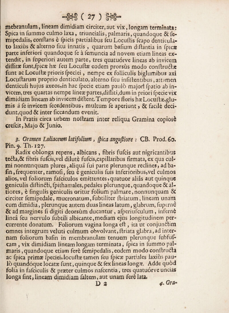 i mebranulam , lineam dimidiam circiter, aut vix, longam terminata: ! Spica in fummo culmo laxa, triuncialis, palmaris, quandoque & fe- | mipedalis, conflans i fpicis partialibus feu Locuflis fcapo denticula¬ to laxius & alterno fi tu innatis , quarum bafium difiantia in fpicas parte inferiori quandoque fe a femuncia ad novem etiam lineas ex¬ tendit, in fuperiori autem parte, tres quatuorve lineas ab invicem diflitae funt,fpicae has feu Locuto eodem prorsus modo conflruto funt ac Locuto prioris fpeciei, nempe ex folliculis biglumibus axi Locullarum proprio denticulato, alterno fitu infidentibus,attamen denticuli hujus axeos,in hac fpecie etiam paulo majori fpatio ab in¬ vicem, tres quartas nempe lineae partes,diditi,dum in priori fpecie vix dimidiam lineam ab invicem diflent. Tempore floris hae Locuto,glu¬ mis a fe invicem fecedentibus, multum fe aperiunt > & facile deci¬ dunt,quod & inter ficcandum evenit. In Pratis circa urbem noftram inter reliqua Gramina copiosi g:efcit,Majo & Junio. $. Gramen Loliaceum latifolium, (pica an<?uftiore : CB. Prod. 60* Pin.9. Th. 127. Radix oblonga repens, albicans, fibris fufcis aut nigricantibus te£la,& fibris fufcis,vel dilute fufcis,capillaribus firmata, ex qua cul¬ mi nonnunquam plures,aliqua fui parte plerunque reclines, ad ba- fin, frequenter, ramofi, feu e geniculis fuis inferioribus,vel culmos alios, vel foliorum fafciculos emittentes ,quatuor alias aut quinque geniculis diflindti, fpithamaies, pedales plerunque, quandoque & al- tiores, e fingulis geniculis oritur folium palmare,nonnunquam 5c circiter femipedale, mucronatum,fubtiliter ftriatum, lineam unam cum dimidia, plerunque autem duas lineas latum, glabrum, fuperne & ad margines fi digiti deorsum ducantur , afperiufculum, inferni linea feu nervulo fubtili albicante,mediam ejus longitudinem per¬ currente donatum. Foliorum vagina longa eft , ita ut conjundtim omnes integrum veluti culmum obvolvant, flriata glabra,ad inter¬ nam foliorum bafin in membranulam tenuem plerunque fubfuf- cam , vix dimidiam lineam longam terminata, fpica in fummo pal¬ maris, quandoque etiam fere femipedalis,eodem modo conftrudla ac fpica primae fpeciei,locuflae tamen feu fpicae pardales laxius pau¬ lo quandoque locatae funt, quinque & fex lineas longae. Adde quod folia in fafciculis & praeter culmos nafcentia, tres quatuorve uncias longa fint, lineam dimidiam faltem, aut unam fere lata» D % 4' Gra- \