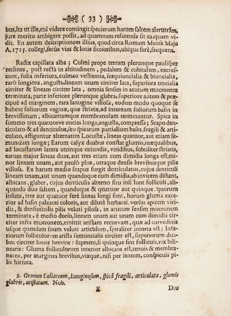 bus,Ita ut ille,cui videre contingit fpecierum harum faltem alemtrSm, jure merito ambigere poffit, ad quamnam referenda fit ea,quam vi¬ dit. En autem defcriptionem illius, quod circa Romam Menfe Majo A,I7if. collegi,fecus vias &locis fictioribus,ubiquefere,frequens. Radix capillata alba ; Culmi prope terram plerunque paulifper /reclines, poit re£la in altitudinem , pedalem & cubitalem, excref- cunt, folia inferiora,culmos veflientia, fesquiuncialia & biuncialia» raro longiora, angufladineam unam circiter lata,fuperiora uncialia circiter & lineam circiter lata , omnia fenfim in acutum mucronem terminata, parte inferiore plerunque glabra* fuperiore autem &pras- cipue ad marginem, rara lanugine villofa, eodem modo quoque fe habent foliorum vaginas, quae flriatoe,ad internam foliorum bafin in brevillimam, albicantemque membranulam terminantur. Spica in fummo tres quatuorve uncias longa,angufla,comprefiTa ; Scapo den¬ ticulato & ad denticulos,feu fpicarum partialium bafes.fragili & arti¬ culato, affiguntur alternatim Locufias * lineas quatuor,aut etiam fe- mundam longae; Earum calyx duabus conflat glumis,inaequalibus* ad locuftarum latera utrinque oriundis, viridibus, fubdliterfiriatis9 earum major lineas duas, aut tres etiam cum dimidia longa eft,mi¬ nor lineam unam,aut paulo plus, utraque denfis brevibusque pilis villofa. Ex harum medio fcapus furgit denticulatus,cujus denticuli lineam unam,aut unam quandoque cum dimidia,ab invicem diflant, albicans,glaber, cujus denticulis alterno fitu infi lunt folliculi ^li¬ quando duo faltem , quandoque & quatuor aut quinque/quorum infimi, tres aut quatuor fere lineas longi funt, horum gluma exte¬ rior ad bafin paleacei coloris, aut dilute herbacei, verfus apicem viri¬ dis, & denfiufculis pilis veluti pilofa, in acutum fenfim mucronem terminata * e medio dorfo,lineam unam aut unam cum dimidia cir¬ citer infra mucronem,emittit ariflam recurvam , quas ad curvedinis ufque quendam fuum veluti articulum,fpiraliter intorta efi : Infe¬ riorum folliculorum arifta femuncialis circiter efi, fuperiorum dua« bus circiter lineis brevior : fupremi,fi quinque fint folliculi,vix bili- nearis: Gluma folliculorum interior albicans efi,tenuis & membra* nacea, per margines brevibus,vixque, nifi per lentem,confpicuis pi¬ lis hirfuta. B. Gramen Loliaceum, lanuginofutn, jpicd fragili, articulata, glumis ghbrk, ariftatum. Nok Dia £