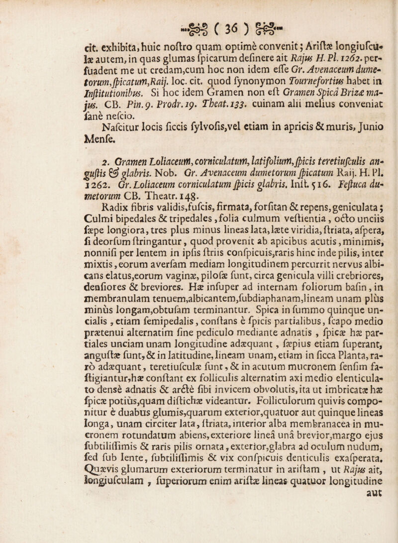 cit. exhibita,huic noftro quam optime convenit; Arito longiufcu* Ise autem, in quas glumas fpicarum definere ait Rajus H. Pl 1262. per- fuadent me ut credam,cum hoc non idem elTe Gr. Avenaceum dume* torum,Jpicatutn,Raij. loc. cit. quod fynonymon Tournefortm habet in InftUutionibus. Si hoc idem Gramen non eft Gramen Spica Briza ma¬ jus. CB. Pin. 9. Prodr. 19. Tbeat. 133. cuinam alii melius conveniat fane nefcio. Nafcitur locis fictis fylvofis,vel etiam in apricis & muris, Junio Menfe. 2. Gramen Loliaceum, corniculatum, latifolium, Jfticis teretiufculis an- guftis & glabris. Nob. Gr. Avenaceum dumetorum Jpicatum Raij. H. Pl. 1262. Gr. Loliaceum corniculatum Jpicis glabris. Init. 516. Feftuca du¬ metorum CB. Theatr. 148. Radix fibris validis,fufcis,firmata,forfitan&repens,geniculata; Culmi bipedales & tripedales , folia culmum veftientia, odo unciis fepe longiora, tres plus minus lineas lata,Iste viridia, ftriata, afpera, fideorfumftringantur, quod provenit ab apicibus acutis,minimis, nonnifi per lentem in ipfis ftriis confpicuis,raris hinc inde pilis, inter mixtis, eorum averfam mediam longitudinem percurrit nervus albi¬ cans elatus,eorum vaginae, pilofae funt, circa genicula villi crebriores, denfiores & breviores. H# infuper ad internam foliorum bafin, in membranulam tenuem,albicantem,fubdiaphanam,lineam unam plus minus longam,obtufam terminantur. Spica in fummo quinque un¬ cialis ,etiam femipedalis, conflans e fprcis partialibus, fcapo medio praetenui alternatim fine pediculo mediante adnatis , fpicae hx par¬ tiales unciam unam longitudine adaequant, faepius etiam fuperant, anguffoe funt,& in latitudine, lineam unam, etiam in ficca Planta, ra¬ ro adaequant, teretiufculae funt, & in acutum mucronem fenfim fa- fligiantur,haj conflant ex folliculis alternatim axi medio denticula¬ to dense adnatis Sc arde fibi invicem obvolutis, ita ut imbricata hae fpicae potius,quam diflichae videantur. Folliculorum quivis compo¬ nitur c duabus glumis9quarum exterior,quatuor aut quinque lineas longa, unam drciter lata,.ftriata,interior alba membranacea in mu¬ cronem rotundatum abiens,exteriore linea una brevior,margo ejus fubtiliilimis & raris pilis ornata,exterior,glabra ad oculum nudum, fed fub lente, fubtiliilimis & vix confpicuis denticulis exafperata. Quazvis glumarum exteriorum terminatur in ariftam , ut Rajus ait, longjufcuiam ? fuperiorum enim arifbe lineas quatuor longitudine aut