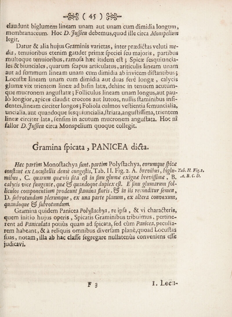claudunt biglumem lineam unam aut unam cum dimidia longum, membranaceum. Hoc D. Jujfieu debemus,quod ille circa Monspdium legit. Datur & alia hujus Graminis varietas, inter praedidtasveluti me¬ dia, tenuioribus etenim gaudet primaefpeciei feumajoris, partibus multoque tenuioribus, ramofa haec itidem eft; Spicae fesquiuncia- les&biunciales,quarum fcapus articulatus,ariticulis lineam unam aut ad fummurn lineam unam cum dimidia ab invicem diftantibus; Locuftae lineam unam cum dimidia aut duas fere longae , calycis glumae vix trientem lineae ad bafm latae, dehinc in tenuem acutum¬ que mucronem anguflatae; Folliculus lineam unam longus,aut pau¬ lo longior, apices claudit croceos aut luteos, nullis flaminibus in fi¬ dentes,lineam circiter longos; Foliola culmos veflientia femuncialia, uncialia, aut quandoque fesquiuncialia,ftriata,anguftiffima, trientem lineae circiter lata,fenfim in acutum mucronem angultata. Hoc ni fallor D. Jujfieu circa Monspelium quoque collegit. Gramina (picata > PANICEA dida. H£c partim Monoflachya funt, partim Polyflachya, eorumque fpic£ conflant ex Locuftellis dense congeftis, Tab, 11. Fig, 2. A. brevibus, biglu- Tab.n Plg.z* mibus, C. quarum qu£vis fitd eft in jinu glum£ exigu£ brevijfmu , B* calycis vice fungente, qu£ ^3 quandoque duplex eft. E finu glumarum fol¬ liculos componentium prodeunt flamina floris in iis reconditur femen, D.fubrotundum plerumque, ex una parte planum, ex altera convexum, quandoque & fubrotundum. Gramina quidem Panicea Polyflachya, re ipfa , & vi charafteris, quem initio hujus operis , Spicatis Graminibus tribuimus, pertine¬ rent ad Pamculata potius quam ad fpicata, fed cum Panicea, peculia¬ rem habeant, & a reliquis omnibus diverfam plane,quoad Locuflas fuas, notam,illa ab hac claffe fegregare nullatenus conveniens efli judicavi. 1. Leeu