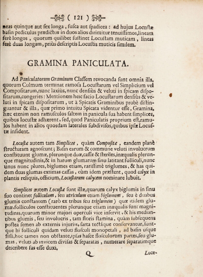 HI» ««M I neas quinque aut fex longa , fufca aut fpadicea : ad hujus Locute bafin pediculus praediatus in duos alios dirimitur tenuiffimos,lineam fere longos , quorum quilibet fuftinet Locultam muticam , lineas fere duas longam,priusdefcriptisLocultis muticis fimilem. GRAMINA PANICULATA. m Ad Paniculatorum Graminum ClafTem revocanda funt omnia illa* quorum Culmum terminat ramofa Locuftarum vel Simplicium vel Compofitarum,nunc laxius, nunc denfms & veluti in fpicam difpo- fitarum,congeries: Mentionem heic facio Locuftarum denfms & ve¬ luti in fpicam difpofitarum , ut a Spicatis Graminibus probe diltin- guantur & illa, quae primo intuitu Spicata videntur erfe, Gramina* haec etenim non ramufculos faltem in panicula fua habent fimpliceSj» quibus locuftae adhaerent) fed,quod Paniculatis proprium eft,ramu¬ los habent in alios quosdam laterales fubdivifos,quibus ipfae Locuf¬ tae infident. Locufl£ autem tam Simplices , quam CompofiU , eandem planfe' ftruduram agnofcunt; Bafin earum & commune veluti involucrum conftituunt glumae,plerunqueduae,cate &fteriles,inaequalis plerun- que magnitudinis,& in harum glumarum finu latitant folliculi,nunc unus nunc plures,biglumes etiam, rariflime triglumes,& has qui« dem duas glumas extimas caffas, cum idem prMtent, quod calyx in plantis reliquis, officium, Locuftarum calycem nominare lubuit. Simplices arutem Locuft£ funt illae,quarum calyx bigiurnis in finu fuo continet folliculum, feu utriculum etiam biglurnem , feu e duabus glumis conftantem (raro ex tribus feu triglumem) quae itidem glu- mae^folliculos conflituentes plerunque etiam inaequalis funt magni¬ tudinis,quarum minor majori operculi vice infervit ,& his median¬ tibus glumis , feu involucris , tam floris ftamina, quam lubfequens poftea femen ab externis injuriis, farta tedaque confervantur,funt- que hi folliculi quidam veluti flofculi monopetali , ad bafin ufque filii,hoc tamen non obllante,ipl'as hafce flofculorum partes,feu glu¬ mas , veluti ab invicem divifas &feparatas, numerare feparaumque deicribere fas effe duxi» cl Lucti*
