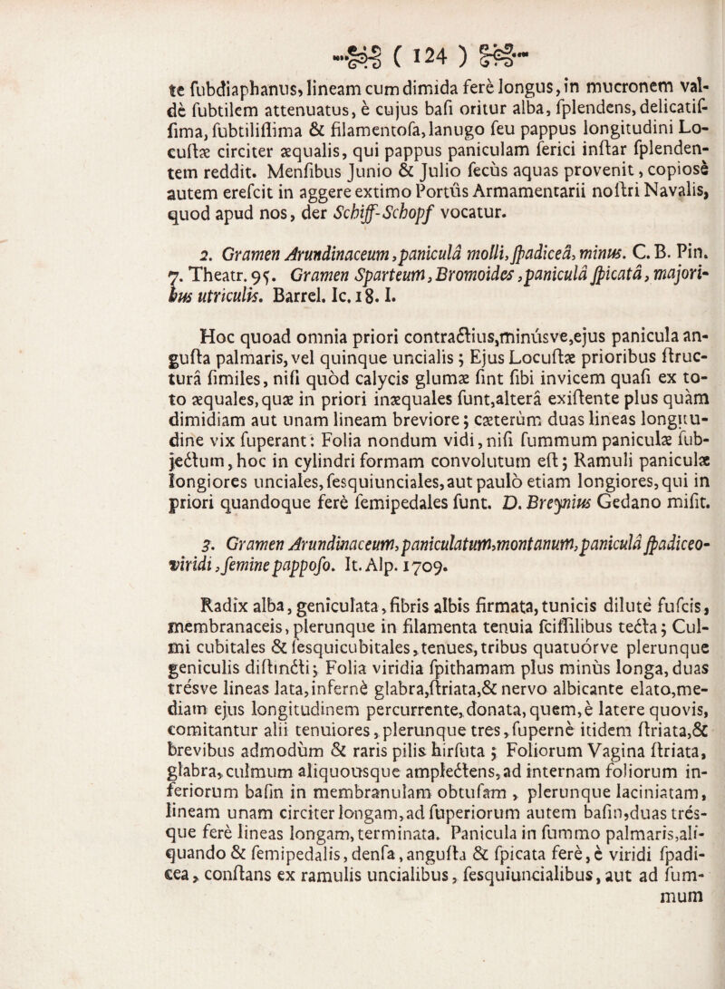 te fubdiaphanus* lineam cum dimida fere longus, in mucronem val¬ de fubtilem attenuatus, e cujus bafi oritur alba, fplendcns,delicatif- fima, fubtiliflima & filamentofa, lanugo feu pappus longitudini Lo¬ cuto circiter sequalis, qui pappus paniculam ferici inftar fplenden- tem reddit. Menfibus Junio & Julio fecus aquas provenit, copiose autem erefcit in aggere extimo Portus Armamentarii nollri Navalis, quod apud nos, der Scbiff-Schopf vocatur. 2. Gramen Arundinaceum,panicula molli,Jpadiced, minus. C.B. Pin. 7. Theatr. 9^. Gramen Sparteum,Bromoides,panicula Jpicatd, majori¬ bus utriculis. Barrel. Ic, 18.1. Hoc quoad omnia priori contra£lius,ttiinusve,ejus panicula an- gufla palmaris, vel quinque uncialis ; Ejus Locuto prioribus flruc- tura fimiles, nifi quod calycis glumas fint fibi invicem quafi ex to¬ to aequales, quas in priori inaequales funt,altera exiflente plus quam dimidiam aut unam lineam breviore; exterum duas lineas longitu¬ dine vix fuperant: Folia nondum vidi,nifi fummum paniculae fub- $edlum,hoc in cylindri formam convolutum eft; Ramuli paniculae longiores unciales, fesquiunciales,aut paulo etiam longiores, qui in priori quandoque fere femipedales funt. D. Breynius Gedano mifit. 3- Gramen Arundinaceum, paniculatum,montanum,panicula jpadiceo- viridi,feminepappofo. It. Alp. 1709. Radix alba, geniculata,fibris albis firmata,tunicis dilute fufcis, membranaceis, plerunque in filamenta tenuia fciffilibus tedla; Cul¬ mi cubitales & fesquicubitales, tenues, tribus quatuorve plerunque geniculis diflindti, Folia viridia fpithamam plus minus longa, duas tresve lineas lata, inferni glabra,flriata,& nervo albicante elato,me¬ diam ejus longitudinem percurrente, donata, quem, e latere quovis, comitantur alii tenuiores, plerunque tres,fuperne itidem flriata,& brevibus admodum & raris pilis hirfuta $ Foliorum Vagina flriata, glabra,culmum aliquousque ampledlens5ad internam foliorum in¬ feriorum bafin in membranulam obtufam , plerunque laciniatam, lineam unam circiter longam, ad fuperiorum autem bafin,duas tres- que fere lineas longam, terminata. Panicula in fummo palmaris,ali¬ quando & femipedalis, denfa,angufta & fpicata fere,c viridi fpadi- cea> conflans ex ramulis uncialibus, fesquiuncialibus,aut ad fum¬ mum