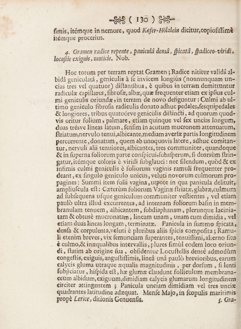 *'%$% C no ) %%%* fimis, item que in nemore, quod IQfer-Holzkin dicitur,copiofiflimi itemque procerius. Gramen radice repente, panicula densa, Jpicatd, Jpadiceo- wfrfi» locuftis exiguis, muticis* Mob. Hoc totum per terram reptat Gramen; Radice nititur valida al¬ bida geniculata , geniculis a fe invicem longius (nonnunquam un¬ das tres vel quatitor) diftantibus, e quibus in terram demittuntur radiculae capillares, fibrofae, albae,quae frequenter etiam ex ipfius cul¬ mi geniculis oriundae 5 in terram de novo defiguntur : Culmi ab ul¬ timo geniculo fibrofis radiculis donato adhuc pedales,fesquipedales & longiores, tribus quatuorve geniculis diffindi, ad quorum quod¬ vis oritur folium * palmare, etiam quinque vel fex uncias longum, duas tresve lineas latum, fenfim in acutum mucronem attenuatum, ftriatum,nervulo tenui5albicante,mediam averfae partis longitudinem percurrente, donatum, quem ab unoquovis latere, adhuc comitan¬ tur, nervuli alii tenuiores,albicantes,tres communiter, quandoque & in fuperna foliorum parte confpicuhfubafperum, fi deorsum ftrin- gatur, itemque coloris e viridi fubglauci: nec filendum, quod & ex infimis culmi geniculis e foliorum vaginis ramuli frequenter pro¬ deant , ex fingulo geniculo unicus, veluti novorum culmorum pro¬ pagines: Summi item folii vagina,utpote in qua panicula delituit, ampliufcula eft: Caeterum foliorum Vaginas ftriatae, glabra,culmum ad iubfequens ufque geniculum communiter veftientes , vel etiam paulo ultra illud excurrentes, ad internam foliorum bafin in mem¬ branulam tenuem, albicantem, fubdiaphanam, plerunque lacinia- tam & obtuse mucronatam, lineam unam, unam cum dimidia, ve! etiam duas lineas longam , terminatae. Panicula in fummp fpicata, denfa & corpulenta,veluti e pluribus aliis fpieis compofita, Ramu¬ li etenim breves, vix femunciam fuperantes,tenuiffimi,.aherno fitu e culmo,& inaequalibus intervallis, plures fimul eodem loco oriun¬ di, ftatim ab origine fua , oblidentur Locufteliis dense admodum eongeftis, exiguis, anguftiftimis, linea una paulo brevioribus, earum calycis gluma utraque aequalis magnitudinis , per dorfum , fi lenti fubjiciatur, hifpida eft,hae glumae claudunt folliculum membrana¬ ceum albidum,exiguum,dimidiam calycis glumarum longitudinem circiter attingentem ; Panicula unciam dimidiam vel tres uncis quadrantes latitudine adaequat. Menfe Majo? in fcopulis maritimis prop£ lerke$ ditionis Genuenfis. “ j. Gra-