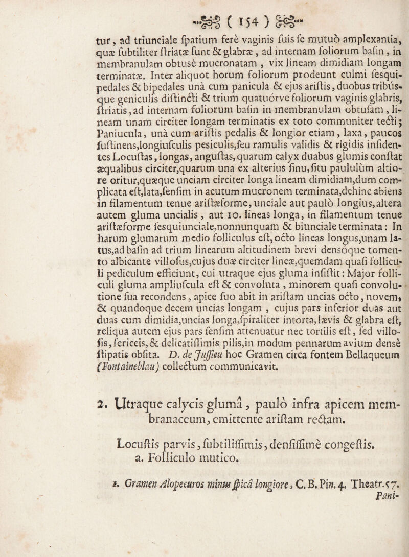 tur, ad triunciale fpatium fere vaginis fuisfe mutuo amplexantia, quas fubtiliter ftriatas funt & glabrae, ad internam foliorum bafin , in membranulam obtuse mucronatam , vix lineam dimidiam longam terminans. Inter aliquot horum foliorum prodeunt culmi fesqui- pedales & bipedales una cum panicula & ejus aridis,duobus tribus¬ que geniculis diftin&i & trium quatuorve foliorum vaginis glabris, fidatis, ad internam foliorum bafin in membranulam obtufam , li¬ neam tinam circiter longam terminatis ex toto communiter tedlij Paniucula, una cum aridis pedalis & longior etiam, laxa, paucos fudinens,longiufculis pesicuiis,feu ramulis validis & rigidis infiden- tes Locudas, longas, angudas, quarum calyx duabus glumis condat aqualibus circiter,quarum una ex alterius finu,fitu paululum altia- re oritur,quasque unciam circiter longa lineam dimidiam,dum com» plicata ed,lata,fenfim in acutum mucronem terminata,dehinc abiens in filamentum tenue aridaeforme, unciale aut paulo longius,altera autem gluma uncialis, aut 10. lineas longa, in filamentum tenue aridaeforme fesquiunciale,nonnunquam & biunciale terminata: In harum glumarum medio folliculus ed, ofto lineas longus,unam la¬ tus,ad bafin ad trium linearum altitudinem brevi densoque tomen¬ to albicante villofus,cujus dure circiter lineas,quemdam quafi follicu¬ li pediculum efficiunt, coi utraque ejus gluma infidit: Major folli¬ culi gluma ampliufcula ed & convoluta , minorem quafi convolu- tione fua recondens, apice fuo abit in aridam uncias ofio, novem? & quandoque decem uncias longam , cujus pars inferior duas aut duas cum dimidia,uncias longa,fpiraliter intorta, laevis & glabra ed, reliqua autem ejus pars fenfim attenuatur nec tortilis ed, fed villo- fis,fericeis,& delicatiilimis pilis,in modum pennarum avium dense ftipatis oblita. D. dejujjim hoc Gramen circa fontem Bellaqueutn (Fontaineblau) colkdlum communicavit. 2. Utraque calycis gluma > paulo infra apicem mem¬ branaceum ^ emittente aridam redtam. Locudis parvis 3 fubtilifTirnis 3 denfiffime congedis. a. Folliculo mutico. *. Gramen dlopemos minus Jpicd longiore, C. B. Pi», 4. Theatr. <; 7. Pani-