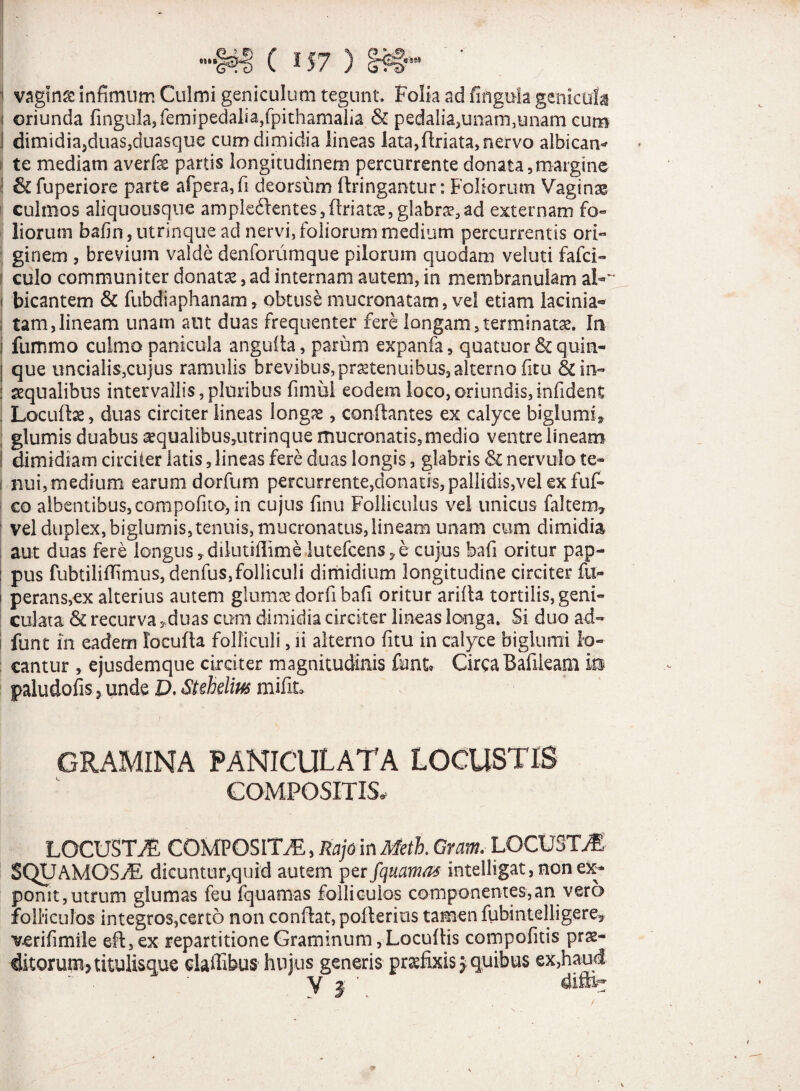 m§*H> C l$7 ) I?#'9** j vagina infimum Culmi geniculum tegunt. Folia ad lingula genicula i oriunda fingula,femipedaiia,fpithamalia & pedalia,unam,unam cum ! dimidia,duas,duasque cum dimidia lineas lata,flriata, nervo albican¬ te mediam averfs partis longitudinem percurrente donata,margine | & fuperiore parte afpera,fi deorsum ftringantur: Foliorum Vaginas culmos aliquousque ample6lentes,ftriatae, glabrae,ad externam fo¬ liorum bafin, utrinque ad nervi, foliorum medium percurrentis ori¬ ginem , brevium valde denforumque pilorum quodam veluti fafci- culo communiter donatae, ad internam autem, in membranulam al-~ i bicantem & fubdiaphanam, obtuse mucronatam, vel etiam lacinia- tam,lineam unam aut duas frequenter fere longam,terminatae. In i fummo culmo panicula angulla, parum expanfa, quatuor & quin- ! que uncialis,cujus ramulis brevibus, praetenuibus, alterno fitu &in- j aequalibus intervallis, pluribus fimul eodem loco, oriundis, infident , Loculis, duas circiter lineas longae, conflantes ex calyce biglumi3 ; glumis duabus aequalibus,utrinque mucronatis, medio ventre lineam ! dimidiam circiter latis, lineas fere duas longis, glabris & nervulo te- ! nui, medium earum dorfum percurrente,donatis,pallidis,vel ex fuf- co albentibus, compofito, in' cujus finu Folliculus vel unicus faltem» vel duplex, biglumis, tenuis, mucronatus, lineam unam cum dimidia aut duas fere longus, dikitifiime lutefcens, e cujus bafi oritur pap- : pus fubtiliffimus, denfus,folliculi dimidium longitudine circiter fu- i perans,ex alterius autem glumae dorfi bafi oritur arilla tortilis, geni¬ culata & recurva, duas cum dimidia circiter lineas longa. Si duo ad- fune in eadem loculta folliculi, ii alterno fitu in calyce biglumi lo¬ cantur , ejusdemque circiter magnitudinis fiant. Circa Bafikam in paludofis, unde D. Stehelm mifit. GRAMINA PANICULATA LOCUSTIS COMPOSITIS. LOCUSTA COMPOSITA, Rajo in Meti. Oram. LOCUSTA SQUAMOSA dicuntur,quid autem per fquamas intelligat, non ex¬ ponit, utrum glumas feu fquamas folliculos componentes,an vero folliculos integros,certo non conflat, poflerius tamen fubintelligere* verifimile efb, ex repartitione Graminum ,Locultis compofitis pras- ditorum, titulisque cladibus hujus generis praefixis j quibus ex,haud y j ’ di&r