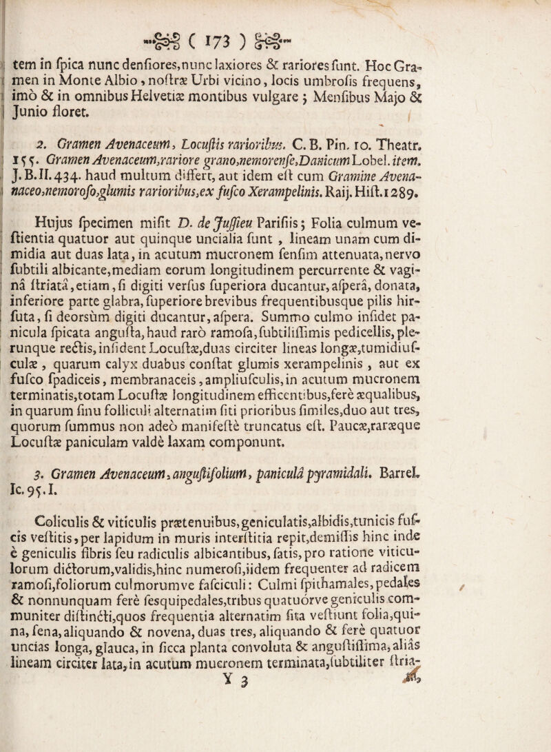 : tem in fpica nunc denfiores,nunc laxiores & rariores funt. HocGra^ i men in Monte Albio > nofirae Urbi vicino, locis umbrofis frequens, ij imo & in omnibus Hei vetis montibus vulgare £ Menfibus Majo & | Junio floret. 2. Gramen Avenaceum, Locuftis rarioribus, C. B. Pin. ro. Theatr» i ? f. Gramen Avenaceum.,r artor e grano memor enfe.Danicum Lob d.item* J. B.II. 434. haud multum differt, aut idem eA cum Gramine Avena- 1 naceomemorofo,glumis rarioribus}ex fufco Xerampelinis. Raij. Hifl.i 289. Hujus fpecimen mifit D. dejuffieu Parifiis; Folia culmum ve- ftientia quatuor aut quinque uncialia funt , lineam unam cum di¬ midia aut duas lata, in acutum mucronem fenfim attenuata,nervo fubtiii albicante,mediam eorum longitudinem percurrente & vagi¬ na Ariata, etiam, fi digiti verfus fuperiora ducantur, afpera, donata, inferiore parte glabra, fuperiore brevibus frequentibusque pilis hir- ! futa, fi deorsum digiti ducantur, afpera. Summo culmo infidet pa¬ nicula fpicata angufla,haud raro ramofa,fubtiliffimis pediceliis,ple- runque re£lis,infident Locuftae,duas circiter lineas longae,tumidiuf- culge, quarum calyx duabus conflat glumis xerampelinis , aut ex fufco fpadiceis, membranaceis ,ampliufculis,in acutum mucronem terminatis,totam Locufhs longitudinem efficentibus,fere aqualibus, in quarum finu folliculi alternatim liti prioribus fimiles,duo aut tres, quorum fummus non adeo manifefte truncatus eft. Paucayraraeque Locuflse paniculam valde laxam componunt. 3, Gramen Avenaceum* anguftifolium, panicula pyramidali. BarreL Ic.95,1. Coliculis & viticulis praetenuibus,geniculatis,albidis,timicis fiifc cis vellitis 5 per lapidum in muris interflitia repit,demMIis hinc inde e geniculis fibris feu radiculis albicantibus, fatis, pro ratione viticu- lorum dklorum,validis,hinc numerofi,iidem frequenter ad radicem ramoli/oliorum culmorum ve fafciculi: Culmi fpithamales, pedales & nonnunquam fere fesquipedales,tribus quatuorvegenkulis com¬ muniter diflin6li,quos frequentia alternatim fita vefliunt folia,qui¬ na, fena, aliquando & novena, duas tres, aliquando & fere quatuor uncias longa, glauca, in ficca planta convoluta &: anguAifiima, aliis lineam circiter lata, in acutum mucronem terminata/ubtiliter flria- y 3 A