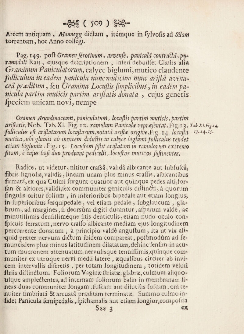“#sH> ( so9 ) Arcem antiquam , Mannegg didam , itemque in fylvofis ad Silam torrentem, hoc Anno coiiegu Pag. 149. poR Gramen ferotinum, arvenfe, panicula contraBd,py~ ramidali Raij , ejusque defcriptionesn , mieri dehuiffet Cladis alia Graminum Particulator um:, calyce biglumi3 mutico claudente folliculum in eadem panicula nunc muticum nunc arijld avena- ced proditum, feu Gramina LocufHs fimplicibus 3 in eadem pa¬ nicula partim muticis partim anftatis donata ^ cujus generis ipeciem unicam novi; nempe Gramen Arundinaceum3pamculatuffl, loculis partim muticis, partim ariftatis, Nob. Tab. XI. Fig. 12. ramulum PankuU repMjentat, Fig. 13, Tabxi.fig.u. folliculus eft ariftatarum locuftarum,notata arift£ origine,Fig. 14. locufta mutica, ubi glumis ab invicem diduQis in calyce biglumi folliculus re fidet etiam biglumis, Fig. 1 Locuftam jftit arftatam in ramulorum extremo fitam, e cujus bafi duo prodeunt pedicellL locufta* muticas fuftinentes. Radice, ut videtur, nititur crafsa, valida albicante aut fubfufca, fibris iignofis, validis, lineam unam plus minus crailis, albicantibus firmata,ex qua Culmi furgunt quatuor aut quinque pedes alti,for- fan & aitiores,validi,fex communiter geniculis di(tincli,a quorum lingulis oritur folium , in inferioribus bipedale aut etiam longius, in fuperionbus fesquipedale , vel etiam pedale , fubglaucum , gla¬ brum, ad margines,fi deorsum digiti ducantur,afperum valde, ac minutillimis denMimeque fitis denticulis,etiam nudo oculo con- fpicuis ferratum,nervo craffo albicante mediam ejus longitudinem percurrente donatum , a principio valde anguRum, ita ut vix ali* quid praeter nervum di dium ibidem compareat, pollmodum ad fe- muncialem plus minus latitudinem dilatatum,dehinc fenfirn in acu¬ tum mucronem attenuatum.nervulisque tenuiffimisquinque com¬ muniter ex utroque nervi medii latere , aequalibus circiter ab invi¬ cem intervallis difcretis , per totam longitudinem , totidem veloti Uriis diRindtum. Foliorum Vaginse ftriatg, glabras,culmum aliquo- ufque ampledfentes, ad internam foliorum bafin in membranam li¬ neas duas communiter fongam ,fufcam aut dilutius fufcaro,ora te¬ nuiter fimbriata & arcuata proditam terminatae. Summo culmo in- fidet Panicula femipedalis, fpithamalis aut etiam longior,compofiia