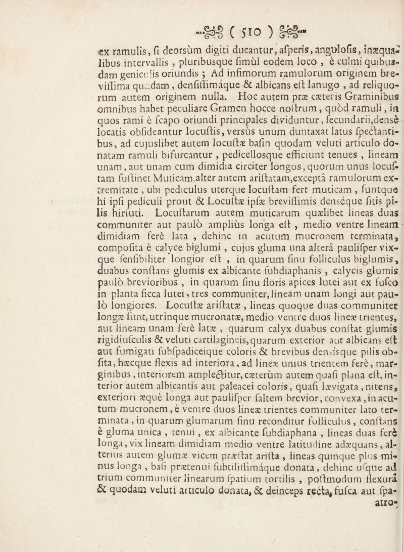 c JIO ) §f§« <ex ramulis, fi deorsum digiti ducantur,afperis,angi}4ofis, inxqua- libus intervallis , pluribusque fimul eodem loco , e culmi quibus¬ dam geniculis oriundis ; Ad infimorum ramulorum originem bre- viflima quadam , denfillimaque & albicans efi lanugo , ad reliquo-* rum autem originem nulla. Hoc autem prae exteris Graminibus omnibus habet peculiare Gramen hocce nollrum , quod ramuli, in quos rami e fcapo oriundi principales dividuntur, fecundarii,dens£ locatis obfideantur locufiis, versus unum duntaxat latus fpedtanti¬ bus, ad cujuslibet autem locute bafin quodam veluti articulo do¬ natam ramuli bifurcantur , pedicellosque efficiunt tenues , lineam unam,aut unam cum dimidia circiter longos,quorum unus locuf- tam fuflinet Muticam,alter autem arifiatam,excepta ramulorum ex¬ tremitate , ubi pediculus uterque loculfam fert muticam , funtque hi ipfi pediculi prout & Locultx ipfae breviffimis denseque fitis pi¬ lis hirfuti. Locuftarum autem muticarum quxlibet lineas duas communiter aut paulo amplius longa elt , medio ventre lineam dimidiam fere lata , dehinc in acutum mucronem terminata, compofita e calyce biglumi , cujus gluma una altera paulifper vix- que fenfibiliter longior elt , in quarum finu folliculus biglumis, duabus conflans glumis ex albicante fubdiaphanis , calycis glumis paulo brevioribus , in quarum finu floris apices lutei aut ex fufeo in planta ficca lutei* tres communiter,lineam unam longi aut pau¬ lo longiores. Locute arifiatx, lineas quoque duas communitec longx funt,utrinque mucronatx, medio ventre duos linea? trientes, aut lineam unam fere latx , quarum calyx duabus confiat glumis rigidiufculis & veluti cartilagineis,quarum exterior aut albicans elt aut fumigati fubfpadiceique coloris & brevibus denfisque pilis ob« fita,hxcque flexis ad interiora, ad linex unius trientem fere, mar¬ ginibus , interiorem ampleftitur,exterum autem quafi plana efi, in¬ terior autem albicantis aut paleacei coloris, quafi Ixvigata,nitens, exteriori xque longa aut paulifper faltem brevior, convexa ,in acu¬ tum mucronem,e venire duos linex trientes communiter lato ter¬ minata, in quarum glumarum finu reconditur folliculus, conflans e gluma unica , tenui , ex albicante fubdiaphana , lineas duas fers longa, vix lineam dimidiam medio ventre latitudine adxquans, al¬ terius autem glumae vicem prxfiat arida, lineas quinque plus mi¬ nus longa , bafi praetenui fubtililiimaque donata, dehinc ufque ad trium communiter linearum ipatium tortilis , pollmodum flexura & quodam veluti articulo donata, dc deinceps redta^fufea aut fpa- atro-