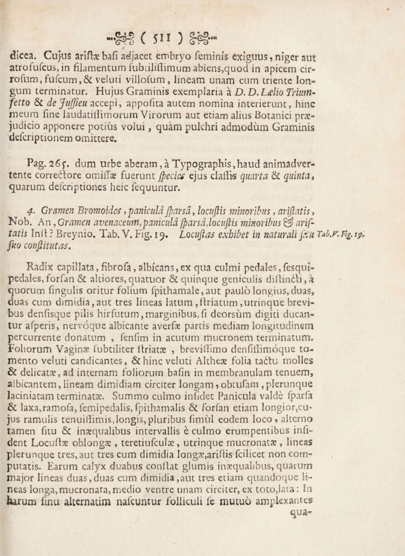 MI» < SII ) ««M /• V dicea. Cu}us arifbs bafi adjacet embryo feminis exiguus % niger aut atrofufcus, in filamentum fubciMimum abiens,quod in apicem cir» rofum, fufcum,& veluti villofum, lineam unam cum triente lon« gum terminatur. Hujus Graminis exemplaria a D. D.Ldio Trium- fetto de JuJfieu accepi, appofica autem nomina interierunt, hinc meum fine laudatillimorum Virorum aut etiam alius Botanici prae¬ judicio apponere potius volui, quam pulchri admodum Graminis defcriptionem omittere» Pag. 26f. dum urbe aberam,a Typographis,haud animadver¬ tente corrediore omiffae fuerunt Jpeciet ejus claflis quarta & quinta, quarum defcriptiones heic fequuntur. 4• Gramen Bromoides, panicula Jparsd, locuftis minoribus, ariftatis, Nob. An, Gramen avenaceum,panicula jparsd,locuftis minoribus @ arif¬ tatis Init ? Rreynio. Tab. V, Fig. 19. Locuftas exhibet in naturali fetu Tahr. Ffc i& fuo confiitutas. Radix capillata, fibrofa, albicans, ex qua culmi pedales, fesqui- pedales, forfan & altiores,quatuor & quinque geniculis dillindli, a quorum fingulis oritur folium fpiihamale, aut paulo longius, duas, duas cum dimidia,aut tres lineas latum,(friatum,utrinque brevi¬ bus denfisque pilis hirfutum,marginibus,fi deorsum digiti ducan¬ tur afperis, nervoque albicante averfe partis mediam longitudinem percurrente donatum , fenfim in acutum mucronem terminatum» Foliorum Vaginae fubtiliter (friatas , brevifiimo denfifiimoque to¬ mento veluti candicantes, &hinc veluti Altheae folia tadtu molles & delicatae, ad internam foliorum bafin in membranulam tenuem, albicantem, lineam dimidiam circiter longam ? obtufam, plerunque laciniatam terminatae. Summo culmo infidet Panicula valde fparfa & laxa,ramofa, femipedalis, fpithamalis & forfan etiam longior,cu¬ jus ramulis tenuiftimis,longis, pluribus fimul eodem loco , alterno tamen fitu & in^qualibus intervallis e culmo erumpentibus in fi¬ dent Locuds oblongas, teretiufculae, utrinque mucronatae, lineas plerunque tres, aut tres cum dimidia longae,arifiis fcilicet non com¬ putatis. Earum calyx duabus condat glumis inaequalibus, quarum major lineas duas,duas cum dimidia,aut tres etiam quandoque li¬ neas longa,mucronata, medio ventre unam circiter, ex toto,iata: In harum finu alternatum nafcuntur folliculi fe mutuo amplexantes qua-
