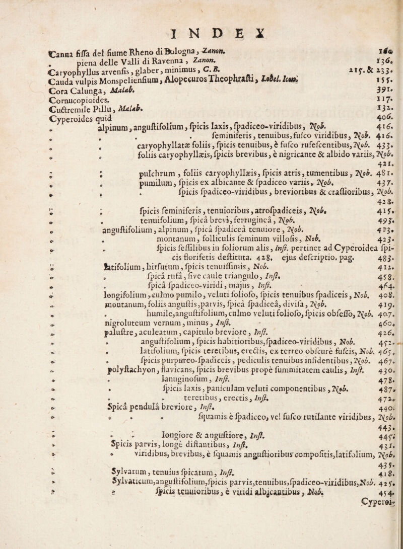 Canna fiffa dei fiume Rheno di I&logna , Zanon, piena delle Valli di Ravenna , Zanon. 136, Ca ryophylius arvenfis 5 glaber, minimus, C.B. a 1 y. & 2 3 3. Cauda vulpis Monspelienfium, Aiopeeuros TheopnrafU, IM. Icm 15f. Cora Calunga, Malah» 39*• Cornucopioides. 117* Cudrermle Fillu, MaUb* ZS2-* Cyperoides quid # # # 4°^* . alpinum?anguflifolium, fpicis laxis,fpadiceo-viridibus, T(ob. 416. feminiferis, tenuibus,fufeo viridibus, ^ioh. 416, # caryophyllata: foliis, fpicis tenuibus, e fufeo rufefcentibus,2y©£. 433. ^ , foliis caryophyllaeis, fpicis brevibus, e nigricante & albido variis, 2\oba 421, ; ; pulchrum , foliis caryophyllaeis, fpicis atris , tumentibus3 T{oh. 481. * „ pumilum, fpicis ex albicante & fpadiceo vanis, 2yob% 437° ^ , . fpicis fpadiceo-viridibus, brevioribus & craffioribus, / 42 8» % ; fpicis feminiferis,tenuioribus,atrofpadiceis, 2^o^9 41?. 0 . tenuifolium, fpica brevi,ferruginea, 2yob. 49b o anguftifolium, alpinum, fpica fpadicea tenuiore, 2'{ob. 4 23. „ . montanum, folliculis feminum villofis, Nob. 425* * * fpicis fellilibus in foliorum alis, In fi. pertinet ad Cyperoidea fpi¬ cis florifetis deflituta. 42-8* ejus deferiptio. pag. 433. o latifolium, hirfutum, fpicis tenuiffimis, Nob. 411, er „ fpica rufa, live caule triangulo, Infi, « . fpica fpadiceo-viridi, majus, Infi. ■ 4^4. * longifolium,eulmo pumilo, veluti foliofo, fpicis tenuibus fpadiceis, Nob. 408. montanum, foliis angullis,parvis, fpica fpadicea, divifa, Nob. 4ip. * , humile,angiiftifolium, culmo veluti foliofo, fpicis obfeflb, Nob. 40-7. nigroluteum vernum,minus, Infi. - 4<5o, a paluflre, aculeatum, capitulo breviore, Infi. 426. , . anguftifolium, fpicis habitioribusjfpadiceo-viridibus, Nob. 471., » • latifolium, fpicis teretibus, eredis, ex terreo obfcure fufeis, Nob. 465,3 o 9 fpicispurpurco-fpadiceis, pediculis tenuibus infidentibus, 2\^o£. 467* o. polyllachyon, fiavicans, fpicis brevibus prope fummitatem caulis, Infi. 430» * » lanuginofum, Infi. 473. • fpicis laxis, paniculam veluti componentibus jT^ob. 487* «v » . teretibus, erectis, Infi. 472» o- Spica pendula breviore, infi. 440, o * iijuainis e fpadiceo, ve! fufeo rutilante viridibtis, Nob» 443» » - - longiore & a ngufliore, Infi. 44y; » Spicis parvis, longe diftantibus, Infi. 4ji. * * viridibus, brevibus, e fquamis anguflioribusfcompolitis,latifolium, Nob. 43 5. i Sylvaium, tenuius fpicatum, Infi. 41 g, *• Sylvaucum,anguftifoliuiTi,fpicis parvis,tenuibus>lpadiceo-viridibiJS,Nc£. 42 f. ? s ijpicis tenuioribus2 e viridi alb^caaubus, J&A 454. Cypem-
