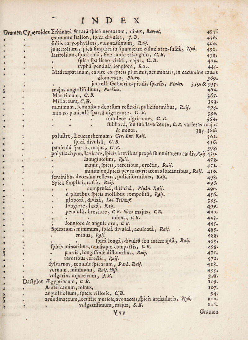 GramSn Cfperoides Hchinata & rara fpica nemorum, minus, Baml. 48 f! # ex monte Ballon, fpica divulsa, J.B. 4$6. foliis caryophyllads, vulgatiflimum, Ralj. 460« , juncifolium> fpica fimplici in fummitate culmi atro-fufci, 492,* latifolium3 fpica rufa, live caule triangulo, C.B. 453« , . fpica fpadiceo-yiridi, majus, C.B. 464* 0 B typha pendula longiore, Barr. 44?. , Madraspatanum, capite ex fpicis plurimis,acuminatis,ifi cacumine caulis glomerato, BLukn. 369«, ; . juncelliGefneri capitulis fparfis, Flukn. $$9>&39 0 majus anguftifolium, Farklns. 46 z. . Maritimum, C.B. 367« , Miiiaceunr, C. B- 39J® . minimum, feminibus deorfum reflexis,piiliciformibus, Ralj, 4 . minus, panicula fparsa nigricante, C.B. 384* , ... obfolete nigricante, C.B. 584*, , . fubflava,,feu fubflavefcente» C. B. varietas major & minor, 387* 3 ; pa!uftre,Leucanthemum, Ger. Em. Ralj. 50^ , . fpica divulsa, C.B. 456, » panicula fparsa, majus, C.B. 398«, , polyflachyon,flavicans,fpicis brevibus prope fummitatem caulis,Ralj. 430. , e lanuginofum, Ralj. 47g« «, . majus, fpicis, teretibus, eredis, Ralj. 471. , * minimum,fpicis per maturitatem albicantibus, Ralj. 410. . feminibus deorsum reflexis, puliciformibus, Ralj, 498. . Spica iimplici, cafsa, Ralj. 498« . . . comprefsa, difticha, Plukn. Ralj. 490. , . e pluribus fpicis mollibus compoflta, Ralj.  4$6. „ , globosa, divisa, L&l.Triumf. , , longiore,laxa, 499« , . pendula, breviore, C. B. Idem majus, C.E. 440« „ . . . minus, C.B. 44 , » longiore & anguftiore, C. B. 445% , Spicatum, minimum, fpica divulsa, aculeata, Ralj. 48 , » minus, Ralj. 488» . . fpica longa,divulsa feu interrupta, 4gf® fpicis minoribus, minusque compadis, C.B. 488- . . parvis jlongiflime diftantibus, Ralj. 431«; . . teretibusjeredis, Ralj. 472® f fylvarum, tenuius fpicatum, Rark, Ralj, 428® , vernum, minimum, Ralj. HI fi. 433, . vulgatius aquaticum, J.B. 398* Badylon. ^gyptiacum, C. B. 309» » Americanum, minus, 107. , amguftifolium, fpicis viliofls, C.[jB. 94. . arundinaceum,lociiftis muticis,avenaceis,fpicis articulatis» 100» a > yulgatiflimum, majus, *o60 V v v Granea
