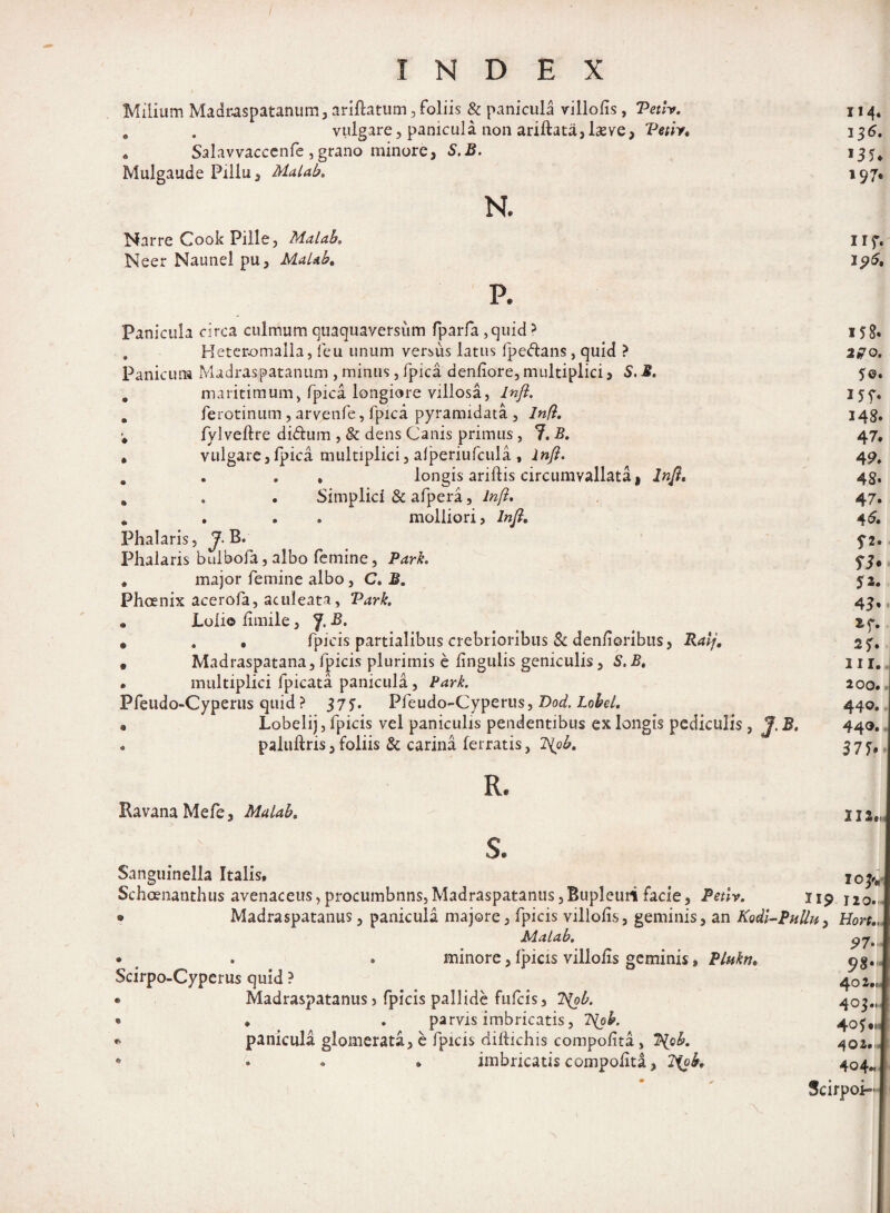 Milium Madraspatanum, ariftatum 5 foliis & panicula villolis, Tetlv. 114. * . vulgare, panicula non ariftata, lasve, Vetir* 136. . Salavvaccenfe, grano minore, S.B. 133, Mulgaude Pillu, Malab. 197. N. Narre Cook Pille, Malab, II7. Neer Naunel pu, Malab, 1 p6, p. Panicula circa culmum quaquaversum fparfa ,quid ? 15g. . Heteromaila, feu unum versus larus fpe&ans, quid ? 270. Panicum Madraspatanum , minus, fpica denliore, multiplici, S. B. y ©. . maritimum, fpica longiore villosa, lnfl. 157. . ferotinum, arvenfe, fpica pyramidata, lnfl. 148. ; fylveftre didum ,& dens Canis primus, l.B. 47, . vulgare,Ipica multiplici, alperiufcula, lnfl. 49, . . . * longis ariftis circumvallata | lnfl, 4g, . . . Simplici & afpera, lnfl. 47. . . . . molliori, lnfl. 46. Phalaris, J. B. 5-2. Phalaris bulbofa, albo femine, Pari. a major femine albo, C. B. 52. Phoenix acerofa, aculeata, Vari. 43, • Loliolimile, J.B. . * . . fpicis partialibus crebrioribus & denlioribus, Ralj. 2^ , Madraspatana, fpicis plurimis e lingulis geniculis, S.B, 111. . multiplici fpicata panicula, Pari. 200. Pfeudo-Cyperiis quid ? 375:. Pfeudo-Cyperus, Dod. Lobel. 440. • Lobelij, fpicis vel paniculis pendentibus ex longis pediculis , J. B. 440. . paluftris, foliis & carina ferratis, 2\ob, 377, R. RavanaMefe, Malab. s. Sanguinella Italis, 103^ Schoenanthus avenaceus, procumbnns,Madraspatanus,Bupleurt facie, Petiv. 119 J2o. * Madraspatanus, panicula majore, fpicis villolis, geminis, an Rodi-Pullu, Hort., Malab. * . . minore, fpicis villolis geminis, Pluln• Scirpo-Cyperus quid ? * Madraspatanus, fpicis pallide fufcis, 2'fyb. * * . parvis imbricatis, 2^pb. ** panicula glomerata, e fpicis diftichis compolita, 2%cb. * * . • imbricatis compolita, Hob* 97* 98* 402». 403., 402. 404« Scirpoi-