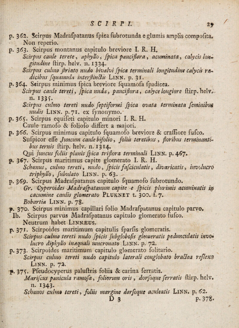 SCIRPI. *9 p, 3^2. Scirpus Madrafpatanus fpica fubrotunda e glumis amplis compofita. Non reperio. p. 363. Scirpus montanus capitulo breviore I. R. H* Scirpus caule terete, aphyllo, fpica paucijlora, acuminata, calycis lon* gitudine ftirp. heiv. 11.1334. Scirpus culmo jiriato nudo bivalvi fpica terminali longitudine calycis ra¬ dicibus fquamul/t interjlin&is LlNN. p. 31. p. 364. Seirpus minimus fpica breviore fquamofa fpadieea. Scirpus caule tereti, fpica nuda, paucijlora, calyce longiore ftirp. Tielv^ 11. I33f. Scirpus culmo tereti nudo feptiformi fpica ovata terminata feminibus nudis Linn. p. 71. ex fynonymo. p, 3&f. Scirpus equifeti capitulo minori I. R. H. Caule rarnofo & foliofo differt a majori, p. 366. Scirpus minimus capitulo fquamofo breviore & craffiore fufco. Sufpicor effe Juncum caule bifolio, foliis teretibus , floribus terminanti bus ternis ftirp. helv. 11.1314. Qui juncus foliis planis fpica triflora terminali LlNN. p. 467. p. 3^7. Scirpus maritimus capite glomerato I. R. H. Schoenus9 culmo tereti, nudo, fpicis fafciculatis, divaricatis, involucro iriphyllo, fibulato Linn. p. 6%. p. 369. Scirpus Madrafpatanus capitulo fquamofo fubrotundo. Gr. Cyperoides Madrafpatanum capite e fpicis plurimis acuminatis irs cacumine caulis glomerato Pluknet t. 300. £7* Bobartia LlNN. p. 78. f. 370. Scirpus minimus capillari folio Madrafpatanus capitulo parvo. Ib. Scirpus parvus Madrafpatanus capitulo glomerato fufco. Neutrum habet Linnjeus. p, 371. Scirpoides maritimum capitulis fparfis glomeratis. Scirpus culmo tereti nudo fpicis fubglobofis glomeratis pedunculatis inVQ* lucro diphyllo inaquali mucronato Linn. p. 72. p. 373. Scirpoides maritimum capitulo glomerato folitario. Scirpus culmo tereti nudo capitulo laterali conglobato bra&ea reflexa Linn. p. 73. f, 37f, Pfeudocyperus paluftris foliis & carina ferratis. Marifcus panicula ramofa, foliorum oris, dorjoque ferratis ftirp. helv*. 11. 1343- Schmos culm9 tereti , foliis margine dorfoque aculeatis LlNN. p. 62,