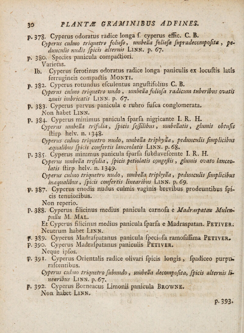 p. 373. Cyperus odoratus radice longa f cyperus effic. C. B. Cyperus culmo triquetro j'oliofo, umbella foliofa fupradecompofita , dunculis nudis fpicis alternis LlNN. p. r p. 380. Species panicula compadiori Varietas, o y Ib. Cyperus ferotinus odoratus radice longa paniculis ex locuftis latis ferrugineis compadtis Monti. p. 382. Cyperus rotundus efculentus anguftifolius C. B. Cyperus culmo triquetro nudo , umbella foliofa radicum tuberibus ovatis zonis imbricatis Linn. p. 67. p, 383* Cyperus parvus panicula e rubro fufea conglomerata. Non habet Linn. C; p. 384. Cyperus minimus panicula fparfa nigricante I. R. H. Cyperus umbella trifolia, fpicis fejjlhbus 3 umbellatis 3 glumis oltufs ftirp helv. n. 1 348, Cyperus culmo triquetro nudo, umbella triphylla, pedunculis Jimplicibus aqualibus fpicis confertis lanceo latis Linn. p. 68. 3g^ Cyperus minimus panicula fparfa fubflavefcente I. R. H. Cyperus umbella trifolia, fpicis petiolatis cpngejlis 9 glumis ovato lancea- ftirp helv. 11. 1349* Cyperus culmo triquetro nudo 3 umbella triphylla, pedunculis Jhnplicibus inaqualibus, JpzaV confertis linearibus Linn. p. 69. j>. 387- Cyperus enodis nudus culmis vaginis brevibus prodeuntibus fpL cis tenuioribus. Non repedo. p. 388. Cyperus filicinus medius panicula camofa e Madraspatan Mulew* pullu M. Mal. Et Cyperus filicinus medius panicula fparfa e Madraspatan. Petiyer, Neutrum habet Linn. f. 389. Cyperus Madrafpatanus panicula fpeciofa ranioliffima Petiveiu p. 390. Cyperus Madrafpatanus paniculis Peti ver. Neque ipfos. p. 391. Cyperus Orientalis radice olivari fpicis longis , fpadiceo purpiW rafcentibus. Cyperus culmo triquetro fibiudo y umbella decompoftta, fpicis alternis /*» nearibus Linn. p. 67. p. 392. Cyperus Borneacus Limonii panicula Browne. Non. habet. Linn,. f>