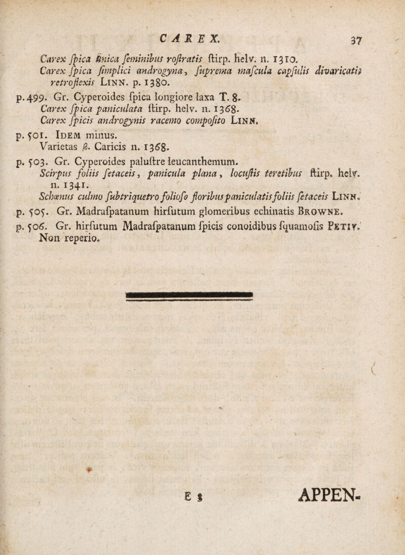 \ Carex fpica Unica feminibus roflratis ftirp. helv. n. 1310, Carex fpica fimplici androgym 5 fuprema mascula capfidis divaricatis retroflexis LlNN. p. 1380. p. 499. Gr. Cyperoides fpica longiore laxa T. 8* Carex fpica paniculata ftirp. helv. n. 1368* Carex [picis androgynis racemo compofito Linn; p. 501. Idem minus. Varietas /2. Caricis 11. 1368* p. 503. Gr. Cyperoides paluftre leucanthemum. Scirpus foliis fetaceis, panicula plana , locuflis teretibus ftirp* hciv. n. 1341. Schoenus culmo fubtriquetro foliofo floribuspaniculatisfoliis fetaceis LlNN* p. 505. Gr. Madrafpatanum hirfutum glomeribus echinatis Browne» p. 505. Gr. hirfutum Madrafpatanum fpicis conoidibus fc{uamofis Petit. Non reperio* E i /■ . 'v -S APPEN