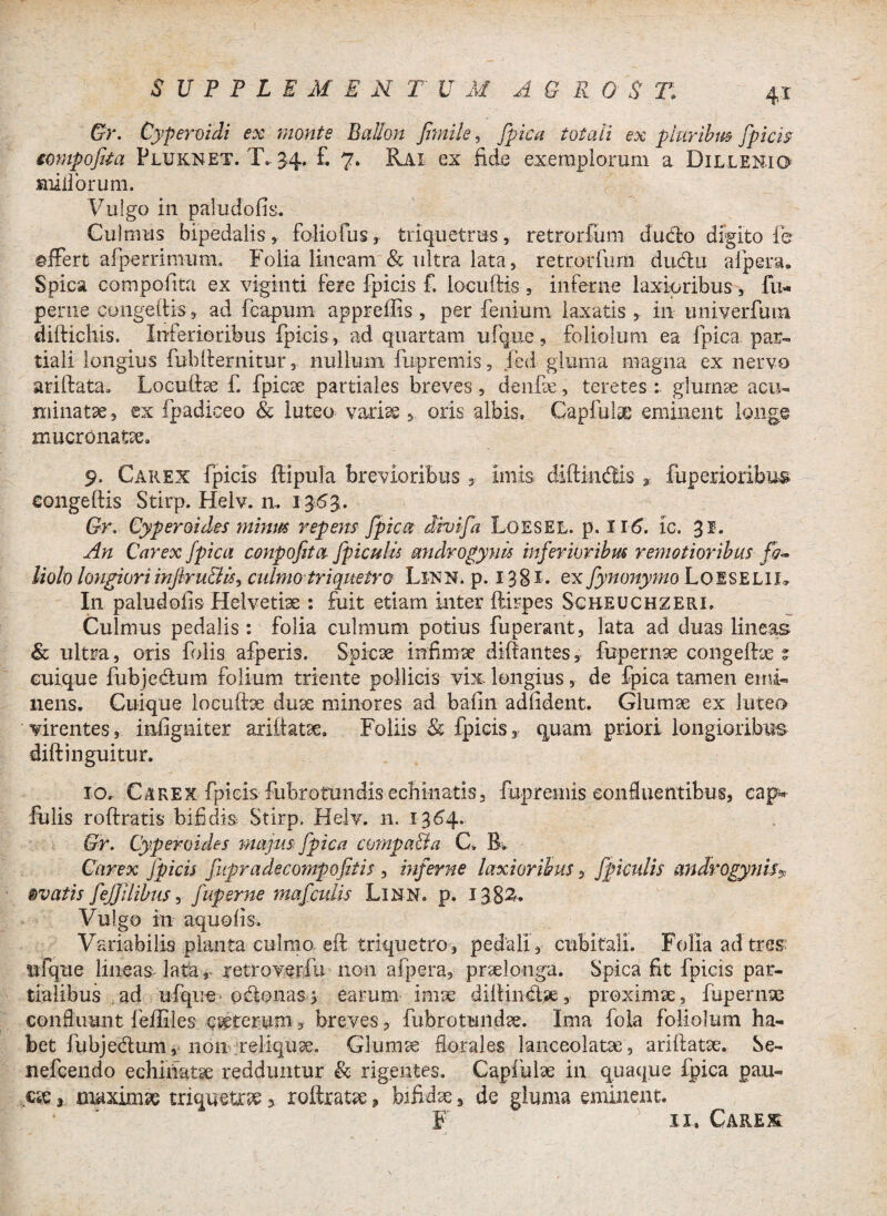 4* Gr. Cyperoidi ex monte Balton fimile, fpica totali ex pluribm fpicis sompofifa Pluknet. TV 34. £ 7. Rai ex fide exemplorum a Dillenio suillorum. Vulgo in paludofis. Culmus bipedalis, folio fus, triquetrus, retrorfum dudo digito fe ©ffert afperrinium. Folia lineam & ultra lata, retrorfum dudu afpersu Spica compofita ex viginti fere fpicis £ locuftis , inferne laxioribus, fu- perne congeltis, ad feapum appreffis , per fenium laxatis , in u ni ver fu m difficilis. Inferioribus fpicis, ad quartam ufque, foliolum ea fpica par¬ tiali longius fubffernitur, nullum fupremis, fed gluma magna ex nervo ariffata. Locufhe f. fpicae partiales breves, denfie, teretes glumae acu¬ minatae , ex fpadiceo & luteo varias , oris albis, Capfulas eminent longe mucronatae, 9. Carex fpicis ftipula brevioribus 3 imis diffindis, fuperioribu® congeffis Stirp. Helv. m 1363. Gr. Cyperoides minus repens fpica divifa Loesel. p. II6. ic. 31. An Carex fpica conpofita fpiculis androgynis inferioribus remotioribus Holo longiori injlru&is, culmo triquetro LlNN. p. 1381. ex fynonymo LoiSELll. In paludofis Helvetiae : fuit etiam inter ffirpes Sgbeuchzeri. Culmus pedalis : folia culmum potius fuperant, lata ad duas lineas & ultra, oris folis afperis. Spicae infimae diffantes, fupernae congeffae ? cuique fubjedum folium triente pollicis vix- longius, de fpica tamen emi¬ nens, Cuique loeuffae duae minores ad bafin adfident. Glumae ex luteo virentes, imfigniter ariCfatae, Foliis & fpicis y quam priori longioribus diffinguitur. 10, Carex fpicis fubrotundis-echinatis, fupremis confluentibus, cap* fulis roffratis bifidis Stirp. Helv. 11. 1364, Gr. Cyperoides majus fpica compaBa C, B. Carex fpicis fupradecompofitis , inferne laxioribus, fpictdis androgynis9 ovatis fefjilibus, fuperne mafculis Linn. p. 1382. Vulgo in aquofis. Variabilis planta culmo eif triquetro, pedali, cubitali. Folia ad tres ufque lineas lata, retroverfu non afpera, praelonga. Spica fit fpicis par¬ tialibus ad ufque pdonas> earum imae diliindae, proximae, fupernae confluunt feffiles ceterum, breves , fubrotundae. Ima fola foliolum ha¬ bet fubjedum, 11011 reliquae. Glumae florales lanceolatae, ariffatae. Se- nefeendo echinatae redduntur & rigentes. Capfulae in quaque fpica pau¬ cae, maximae triquetrae, roftratae, bifidae, de gluma eminent.