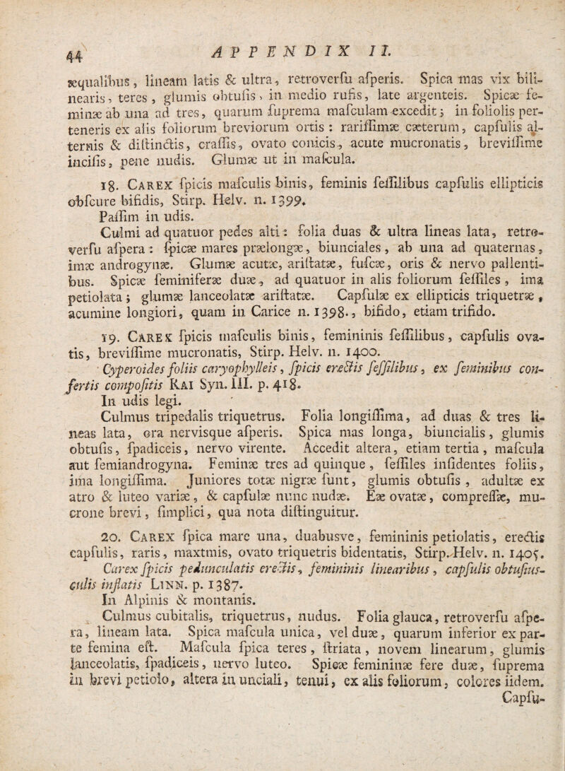 44 aequalibus, lineam latis & ultra , retroverfu afperis. Spica mas vix bili- nearis, teres, glumis obtufis* in medio rufis, late argenteis. Spicae fe- minse ab ima ad tres, quarum fuprema mafculam excedit i in foliolis per¬ toneris ex alis foliorum breviorum ortis : rariffimae caeterum, capfulis al¬ ternis & diftindis, craffis, ovato conicis-, acute mucronatis, brevilfitne incilis, pene nudis. Glumae ut in mafcula. 18. Carex fpicis mafculis binis, feminis feililibus capfulis ellipticis obfcure bifidis, Stirp. Helv. n. 1399* Paifim in udis. Culmi ad qua tuor pedes alti: folia duas Bc ultra lineas lata, retro¬ verfu afpera: fpicae mares praelongae, biunciales , ab una ad quaternas s imx androgynae. Glumae acutae, ariftatae , fuficae, oris & nervo pallenti¬ bus. Spicae femmiferae duae, ad quatuor in alis foliorum feffiles , ima petiolata j glumae lanceolatae ariftatae. Capfuiae ex ellipticis triquetra # acumine longiori, quam in Carice n. 1398-5 bifido, etiam trifido. 19. Carek fpicis mafculis binis, femininis feffiiibus, capfulis ova¬ tis, breviffime mucronatis, Stirp. Helv. 11. 1400. Cyperoides foliis caryophylleis, fpicis ene&is feffiiibus, ex feminibus con¬ fertis cornpofitis Rai Syn. III. p. 4*3* I11 udis legi. Culmus tripedalis triquetrus. Folia longiffima, ad duas & tres li¬ neas lata, ora nervisque afperis. Spica mas longa, biuncialis, glumis obtufis, fpadiceis, nervo virente. Accedit altera, etiam tertia , mafcula aut femiandrogyna. Feminae tres ad quinque , fefliles inficientes foliis, ima longiffima. Juniores totae nigrae funt, glumis obtufis , adultae ex atro & luteo variae , & capfuiae nunc nudae. Eae ovatae, comprelfae, mu¬ crone brevi 5 fimplici, qua nota diftinguitur. 20. Carex fpica mare una, duabusve, femininis petiolatis, eredis capfulis, raris, maxtmis, ovato triquetris bidentatis, Stirp.ddelv. 11. 140^. Carex fpicis peduncularis credris, femininis linearibus, capfulis obtufius- culis inflatis Linn. p. 1387- In Alpinis & montanis. Culmus cubitalis, triquetrus, nudus. Folia glauca, retroverfu afpe¬ ra, lineam lata. Spica mafcula unica, vel duae, quarum inferior expar¬ te femina eft. _ Mafcula fpica teres , ftriata, novem linearum, glumis laneeolatis, fpadiceis, nervo luteo. Spicae femininae fere duae, fuprema in brevi petiolo, altera in unciali, tenui, ex alis foliorum, colores iidem. Gap fu- fi—