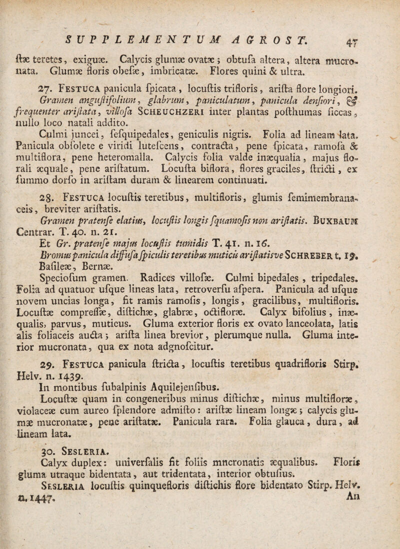 4 T ftae teretes, exiguae. Calycis glumae ovatae ; obtufa altera, altera mucro¬ nata, Glumae floris obefle, imbricatae. Flores quini & ultra, 27. Festuca panicula fpicata, locuflis trifloris, arifla flore longiori» Gramen anguJHfolium, glabrum, pani cui atum , panicula denfiori, frequenter ariflata ^ viUofa Scheuchzeri inter plantas pofthumas ficcas 2. nulio loco natali addito. Culmi juncei, fefquipedales, geniculis nigris. Folia ad lineam lata. Panicula obfolete e viridi lutefcens, contrada, pene fpicata, ramofa & multiflora, pene heteromalla. Calycis folia valde inaequalia, majus flo- rali xquale, pene ariflatum. Locufta biflora, flores graciles, flridi, ex fummo dorfo in ariflam duram & linearem continuati. 2fl. Festuca locuflis teretibus, multifloris, glumis femimembrana- ceis, breviter ariflatis. Gramen pratenfe elatius, locuflis longis fquamqfis non ariflatis. Buxbaum Centrar. T. 40. n. 21. Et Gr. pratenfe majus locuflis tumidis T. 41. 11.16. Br ornus panicula dijfufa fpiculis teretibus muticis ariftatisve ScHREBER t* If« Bafiiex, Bernse. Speciofum gramen. Radices villofx. Culmi bipedales , tripedales,. Folia ad quatuor ufque lineas lata, retroverfu afpera. Panicula ad ufqus novem uncias longa, fit ramis ramofis, longis, gracilibus, multifloris. Locuffoe compreflfx, diflichae, glabne, odiflorx. Calyx bifolius , inae¬ qualis, parvus, muticus. Gluma exterior floris ex ovato lanceolata, latis alis foliaceis auda ; arifla linea brevior, plerumque nulla. Gluma inte¬ rior mucronata, qua ex nota adgnofcitur. 29. Festuca panicula ftrida, locuflis teretibus quadrifloris Stirp. Helv. n. 1439. In montibus fubalpinis Aquilejenfibus. Locuflae quam in congeneribus minus diflichx, minus multiflorae 9 violaceae cum aureo fplendore admiflo: ariflae lineam longse; calycis glu¬ mae mucronatae, pene ariflatae. Panicula rara. Folia glauca, dura, ad lineam lata. 30. Sesleria. Calyx duplex: univerfalis fit foliis mucronatis sequalibus. Floris gluma utraque bidentata, aut tridentata, interior obtufius. Sesleria locuflis quinquefloris diflichis flore bideniato Stirp. Helv. &. 1447. An