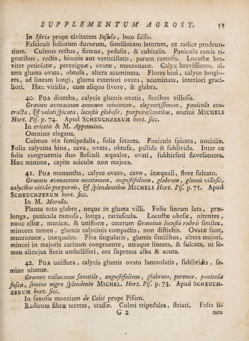 In IJlria prope civitatem Infuh^ loco falfoi- Fafciculi foliorum durorum, femilineam latorum, ex radice prodeun¬ tium. Culmus redus , firmus, pedalis, & cubitalis. Panicula ramis ri¬ gentibus , redis, binatis aut verticillatis, parum ramo fis. Loculfoe bre¬ viter petiolatae, perexiguae , ovatae , mucronatae. Calyx breviilimus, al¬ tera gluma ovata, obtufa , altera acuminata. Flores bini, calyce longio¬ res, ad lineam longi, gluma exteriori ovata, acuminata, interiori graci» liori. Haec viridia, cum aliquo livore, & glabra, 40* Poa diantha, calycis glumis ovatis, floribus villo fis-. Gramen avenaceum annuum minimum, elegant ijjimtim, panicula con- tra&a & velutijpicata, 10 cuji is globofis, purpurafeentibus, muticis MlCHELI Hort. Pf. p. 74. Apud Scheuchzerum hort. flCC, In ericetis St M. Appennino. Omnino elegans. Culmus vix femipedalis, folia fetacea. Panicula fpicata, uncialik. Folia calycina bina, cava, ovata, obtufa, pallida & fublivida. Inter eat folia congruentia duo flofculi sequales, ovati, fubhirfuti flavefcentesv Hsea minima, capite aciculre non majora. s * 41. Poa. monantha, calyce ovato, cavo, inaequali, flore fulcato. Gramen avenaceum montanum, angufiifolium, glabrum, glumis villoJifr calycibus nitidis purpureis, $£ fp tendentibus Micheli Hort, Pif, p. 75, Apud* Scheuchzerum hort. JiccX In M. Morello* Planta tota glabra, neque in gluma villi. Folia lineam lata, pro¬ longa, panicula ramofa, longa , rariufcula. Locultae obefie, nitentes r nunc albae, muticx, &uniflone, ceterum Graminis locuftis rubris fimiles, minores tamen, glumis calycinis compadis, non diftichis. Ovata? funt, mucronatae, insequales. Flos lingularis, glumis fimilibus, altera majori^ minori in majoris carinam congruente, utraque lineata, & fulcata, ut fe¬ men alicujus floris umbelliferi, ora fuprema alba & acuta. 42. Poa unifiora, calycis glumis ovato lanceolatis, fublivicHs, fe mine nitente. Gramen mtliaceum fanat ile, angufiifolium, glabrum, perenne, panicula fufcav femine nigro fplendente Michel. Hort, Pf p. 73* Apud Scheuch^ ZERUM hort. Jicc, In faxofis montium de Calci prope Pifam. Radicum fibrae teretes 3 craife Culmi tripedales, ftriati* Folia iiV G % neai