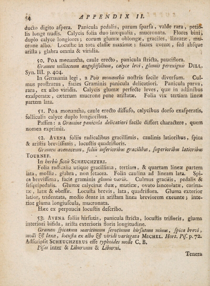 dudo digito afpera. Panicula pedalis, parum fparfa, valde rara, petio¬ lis longe nudis. Calycis folia duo inaequalia , mucronata. Flores bini* duplo calyce longiores 5 eorum glumae oblongae, graciles, lineatae, mu¬ crone albo. Locufbe in tota claifae maximae : facies avenae, fed abfque arifta ; glabra omnia & viridia. $0, Poa monantha, caule eredo, panicula ftrida, pauciflora. Gramen miliaceum angujlifolium, calyce levi, glumis perexiguis Dill. Syn. III. p. 4°4- In Germania legi, a Pois monanthis noftris facile diverfum. Cul¬ mus proftratus , facies Graminis panicula delicatiori. Panicula parva, rara, ex albo viridis. Calycis glumae perfede leves, quae in adfinibus exafperatx, caeterum mucrone pene ariftatse. Folia vix tertiam lineae partem lata» f r. Poa monantba, caule eredo diffufo, calycibus dorfo exafperatis, folliculis calyce duplo longioribus. Paflim : a Gramine panicula delicatiori facile differt charadere, quem nomen exprimit. 53. Avena foliis radicalibus gracillimis, caulinis latioribus,, fpica & arlftis breviilmis locuftis quadrifloris. Gramen avenaceum r foliis inferioribus gracilibus, fuperioribus latioribus Tournef. In herbis JIccis Scheuchzerx. Folia radicalia utique gracillima, tertiam, & quartam linere partem lata, mollia, glabra , non fetacea. Folia caulina ad lineam lata. Spi¬ ca breviflima , facie graminis glumis variis. Culmus gracilis, pedalis & lelquipedaiis. Glumre calycinre dure, muticae, ovato lanceolatre, carina- tre , latae & ebeffre. Locufta brevis, lata, quadriflora. Gluma exterior latior, tridentata, medio dente in aridam linea breviorem exeunte > inte** rior gluma iongiufeula, mucronata. Haec ex perpaucis locuftis deferibo. Avena foliis hirfutis, panicula ftrida, locuftis trifloris, gluma interiori bifida, arifta exterioris floris longitudine. Gramen fpicatum maritimum ferotinum hirfutum minus, fpica brevi, molli if) laxa, locufta: ex albo & viridi variegata MiCHEL. Hort. Pif. p. pZ* Adfcripfit Scheuchzerus effe typhoides molle C, 13» Pifas inter & Liburnum & Liburni* Tenera